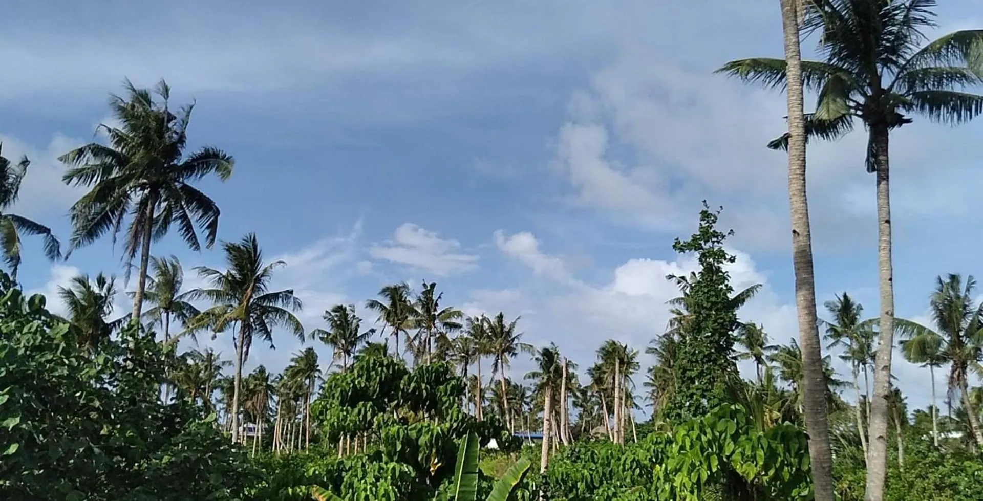 Natural landscape in Soffta Surf Ranch