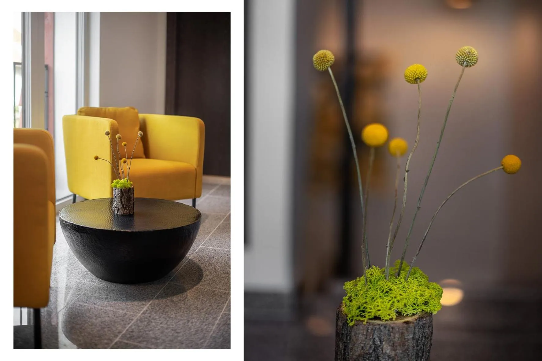 Property building in Jono kalnelis Apartments