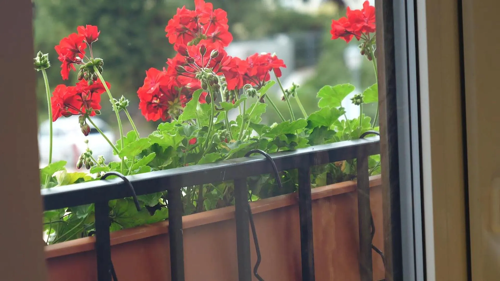 Property building in Jono kalnelis Apartments