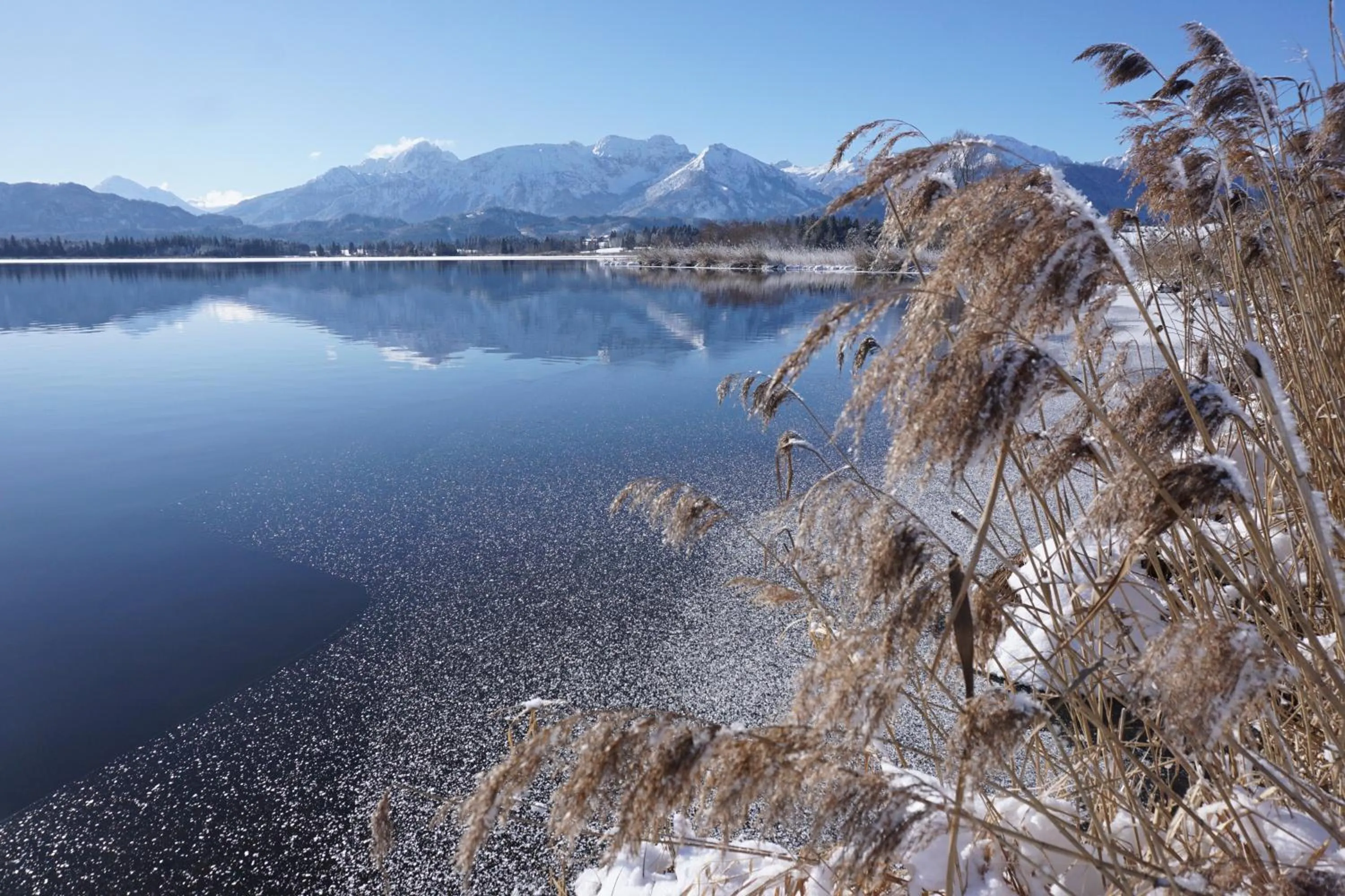 View (from property/room) in Residenz Hopfensee