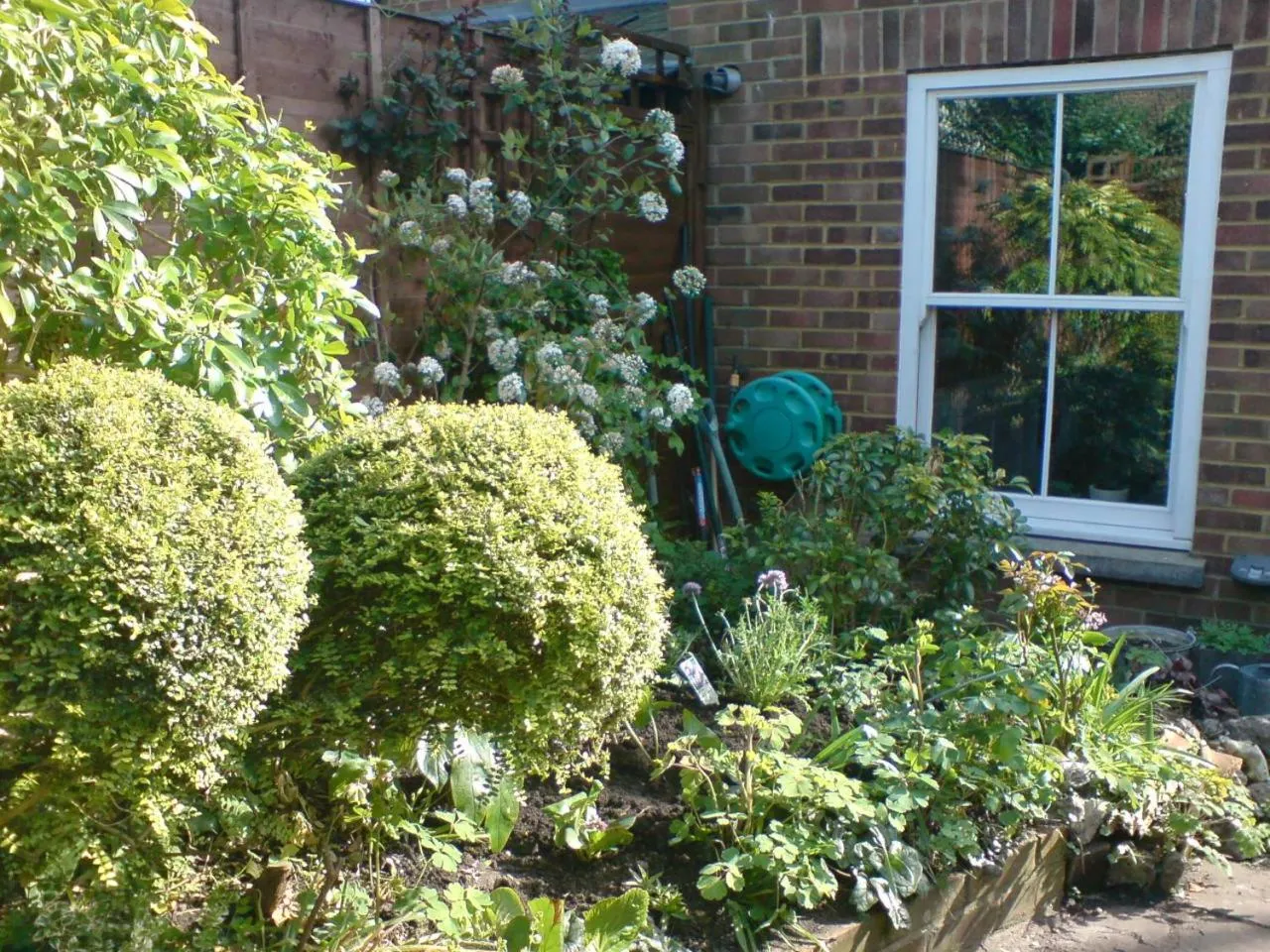 Garden in Designer's Town House