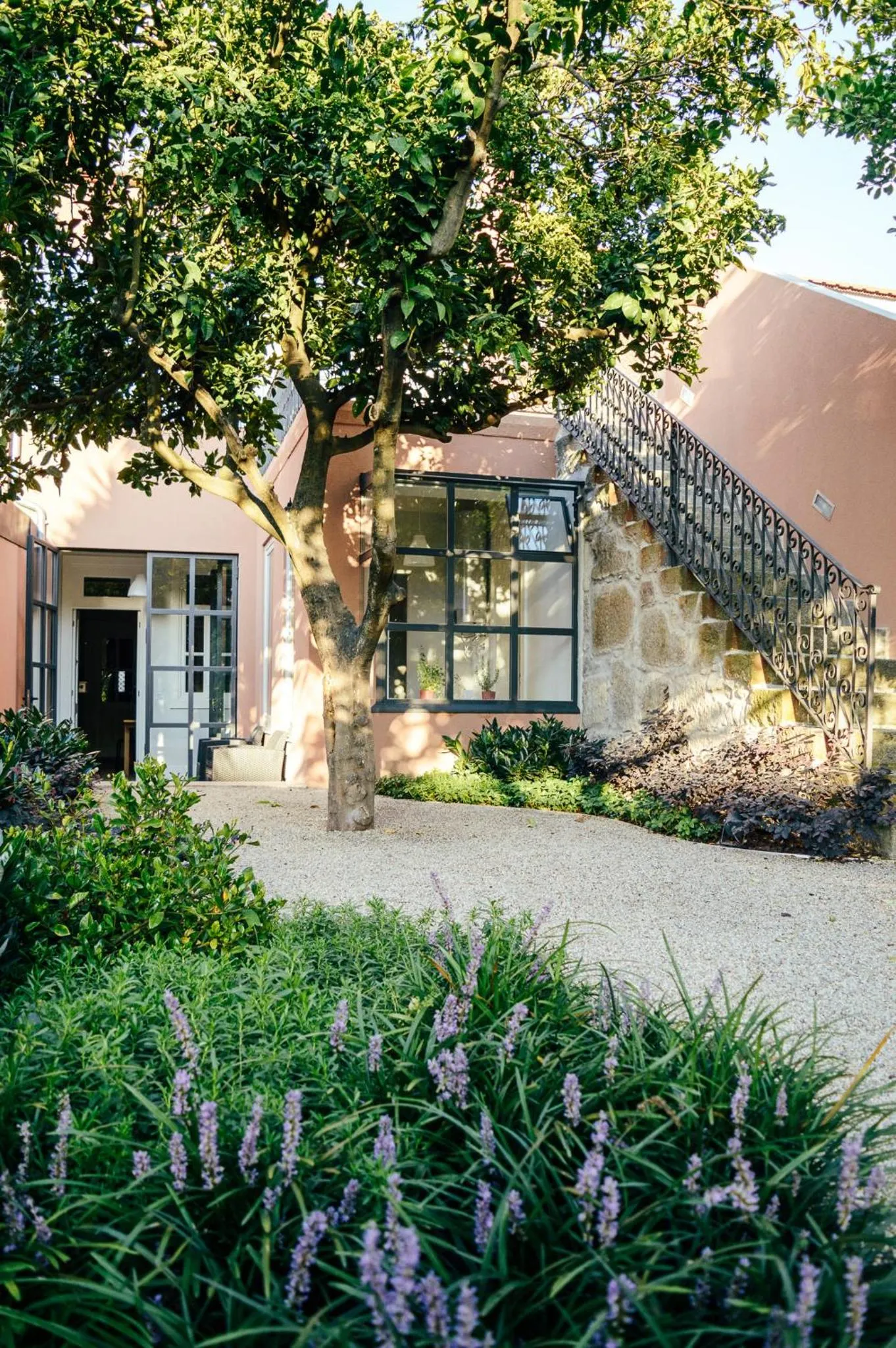Garden in Queen's Garden Hostel
