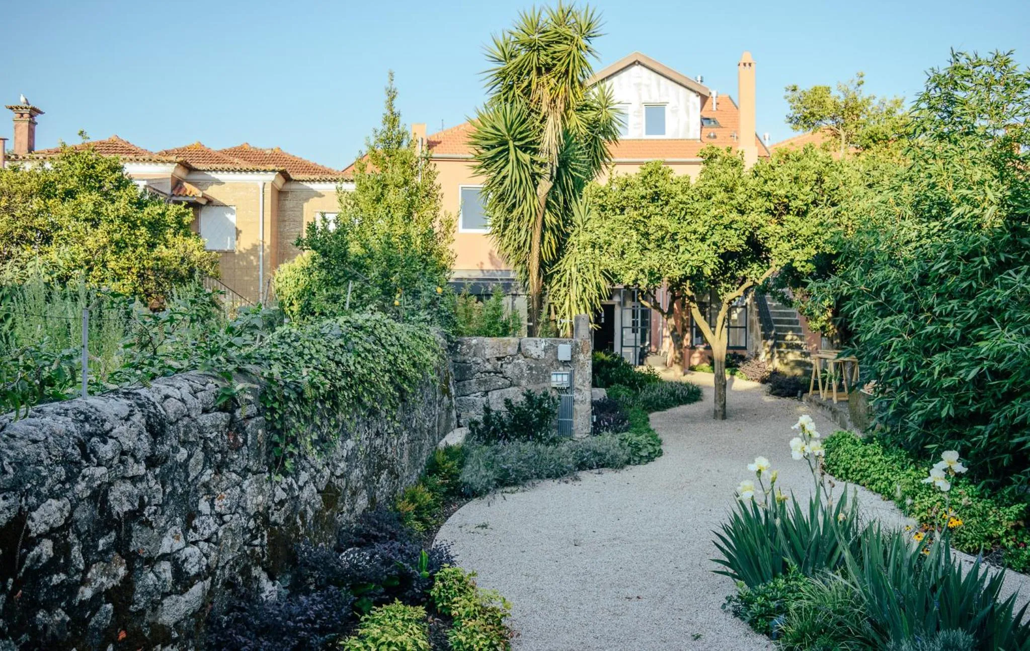 Garden view in Queen's Garden Hostel