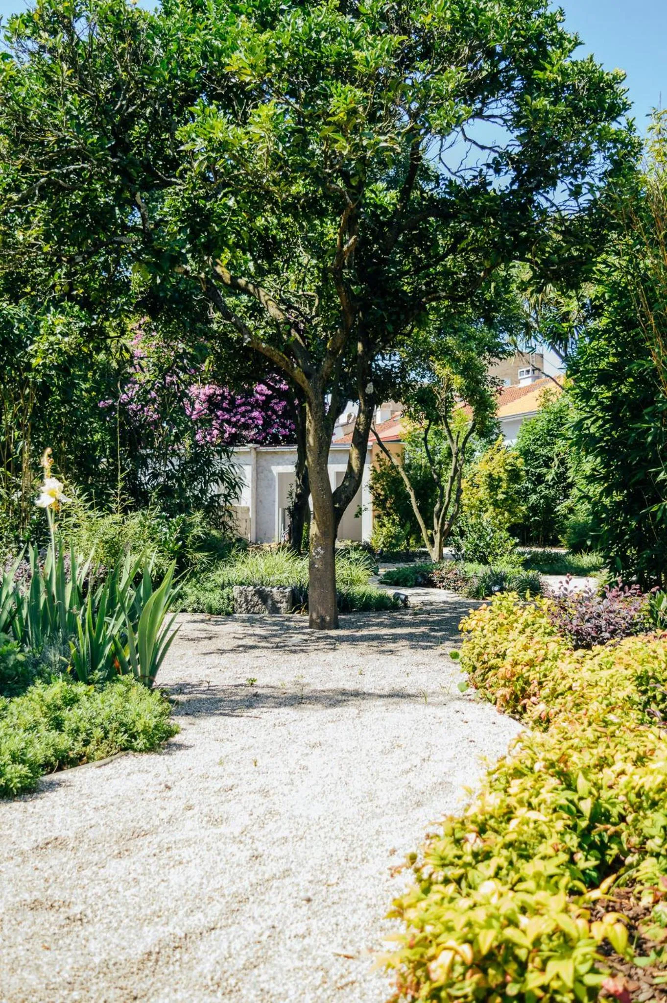 Garden in Queen's Garden Hostel