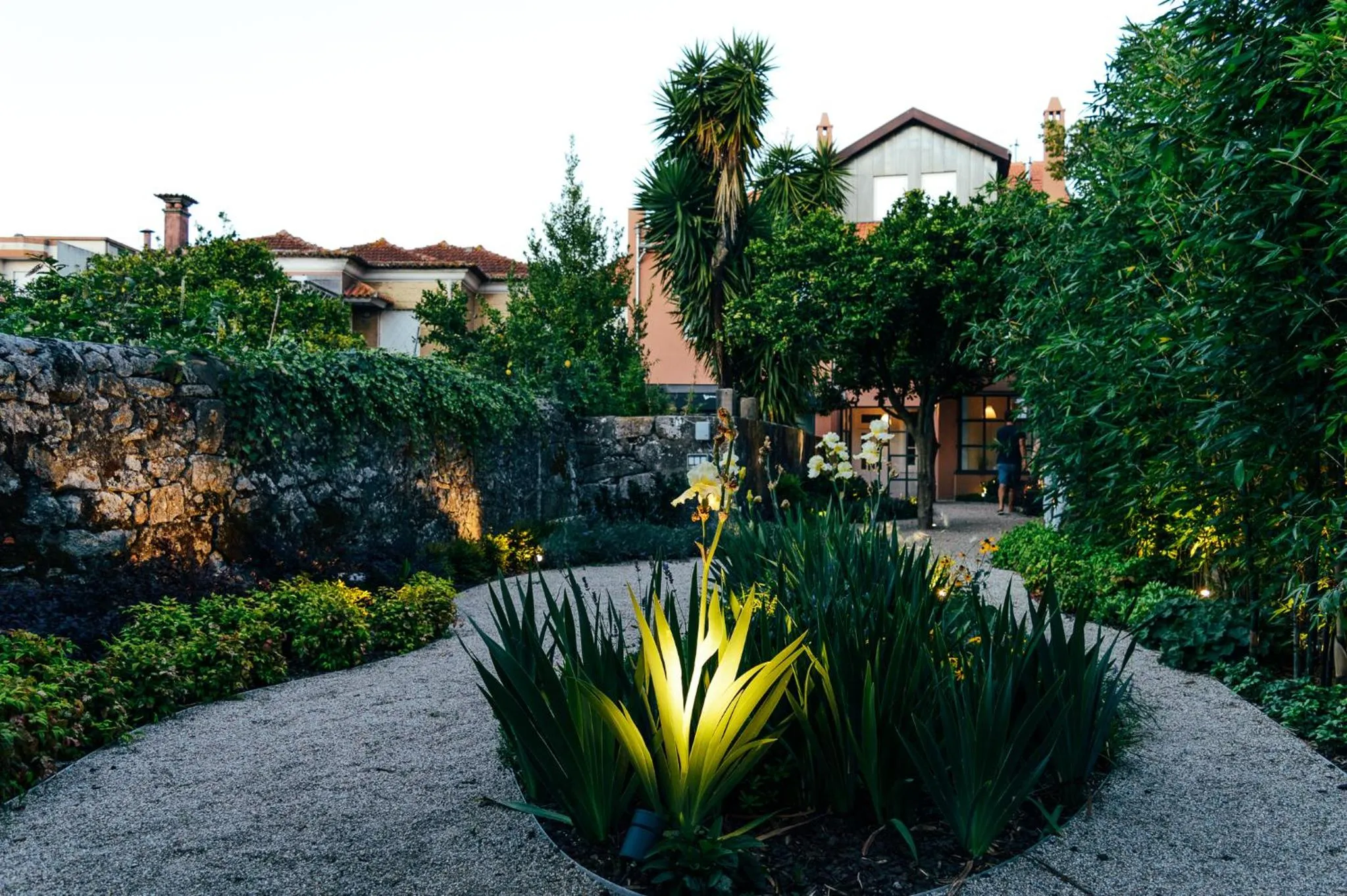 Garden view in Queen's Garden Hostel