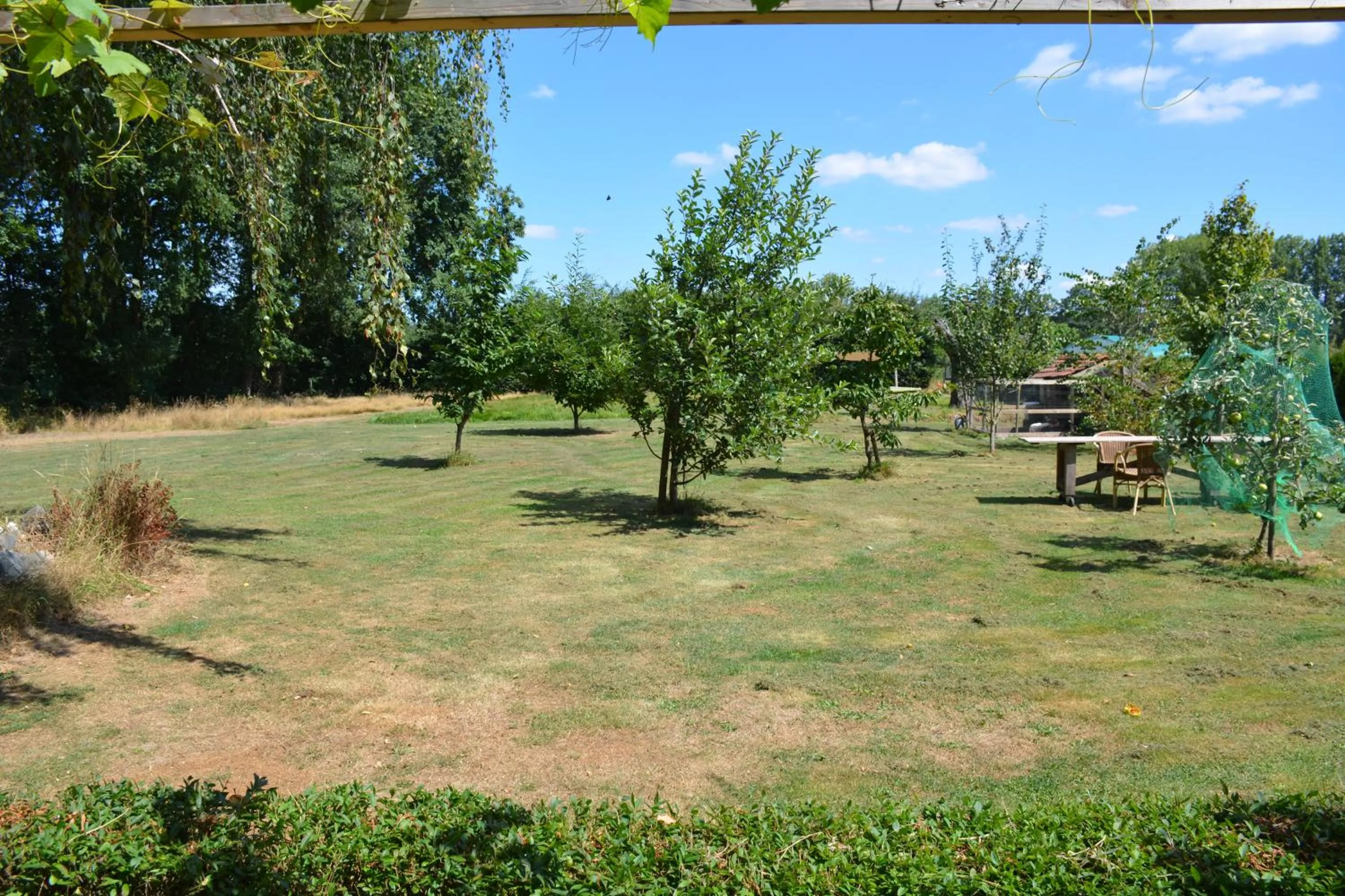 Garden view in Tijdzat