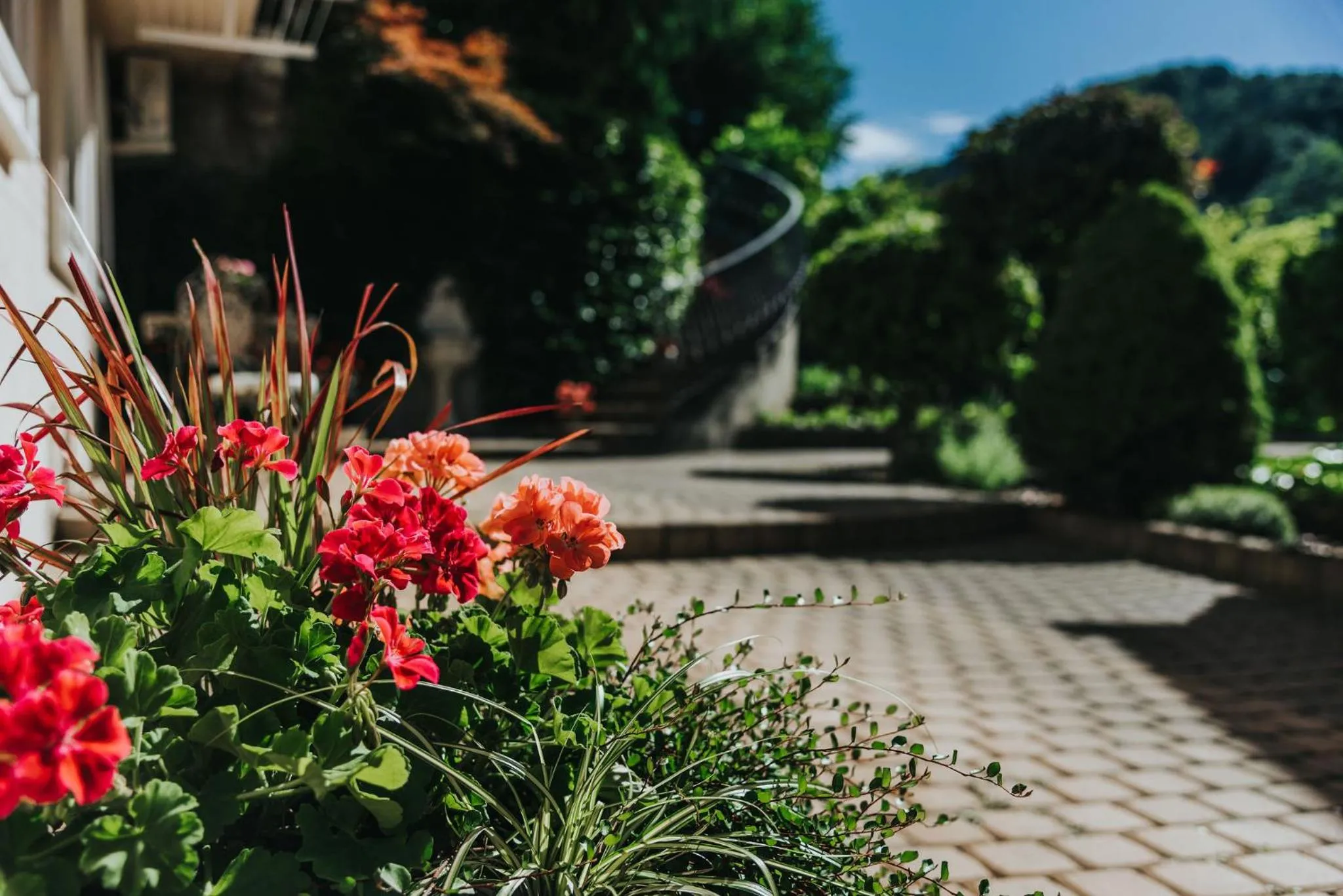 Garden in Apartmaji Urška