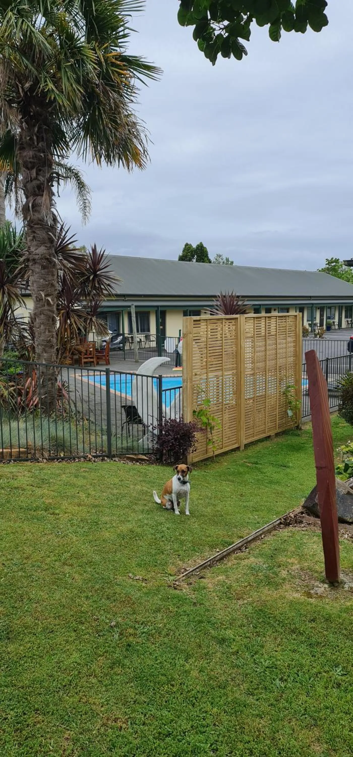 Garden view in ASURE Kaimai View Motel