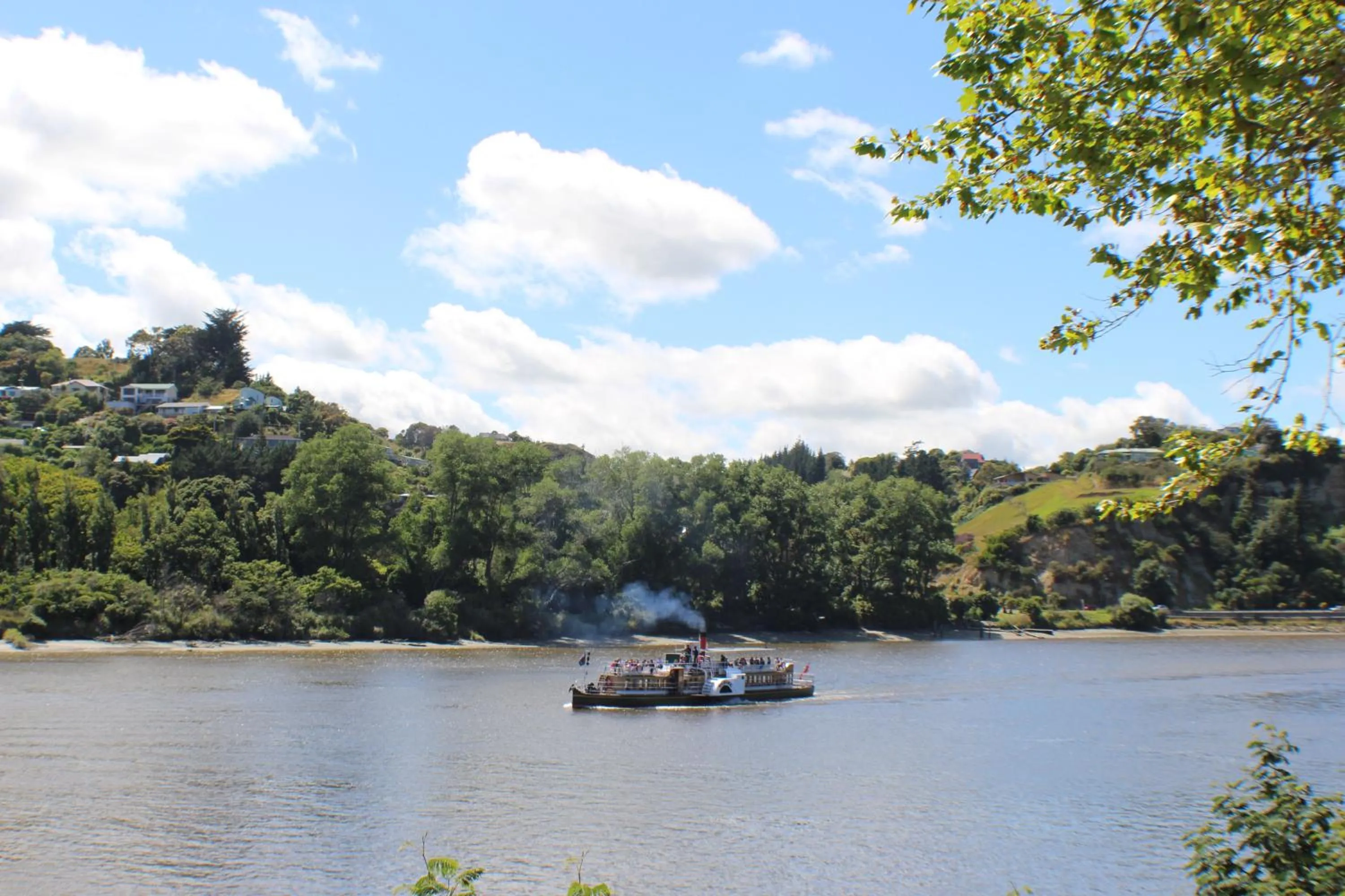 Entertainment in Astral Motel