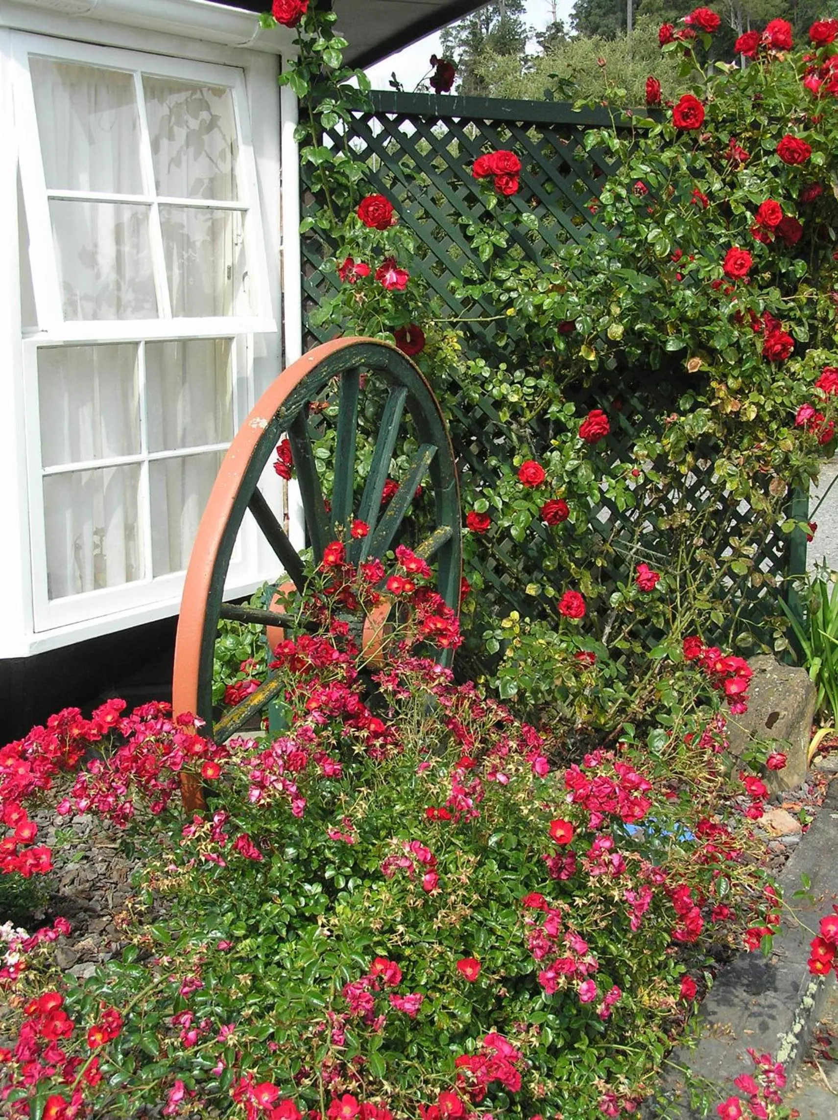 Other in Coachman Motel