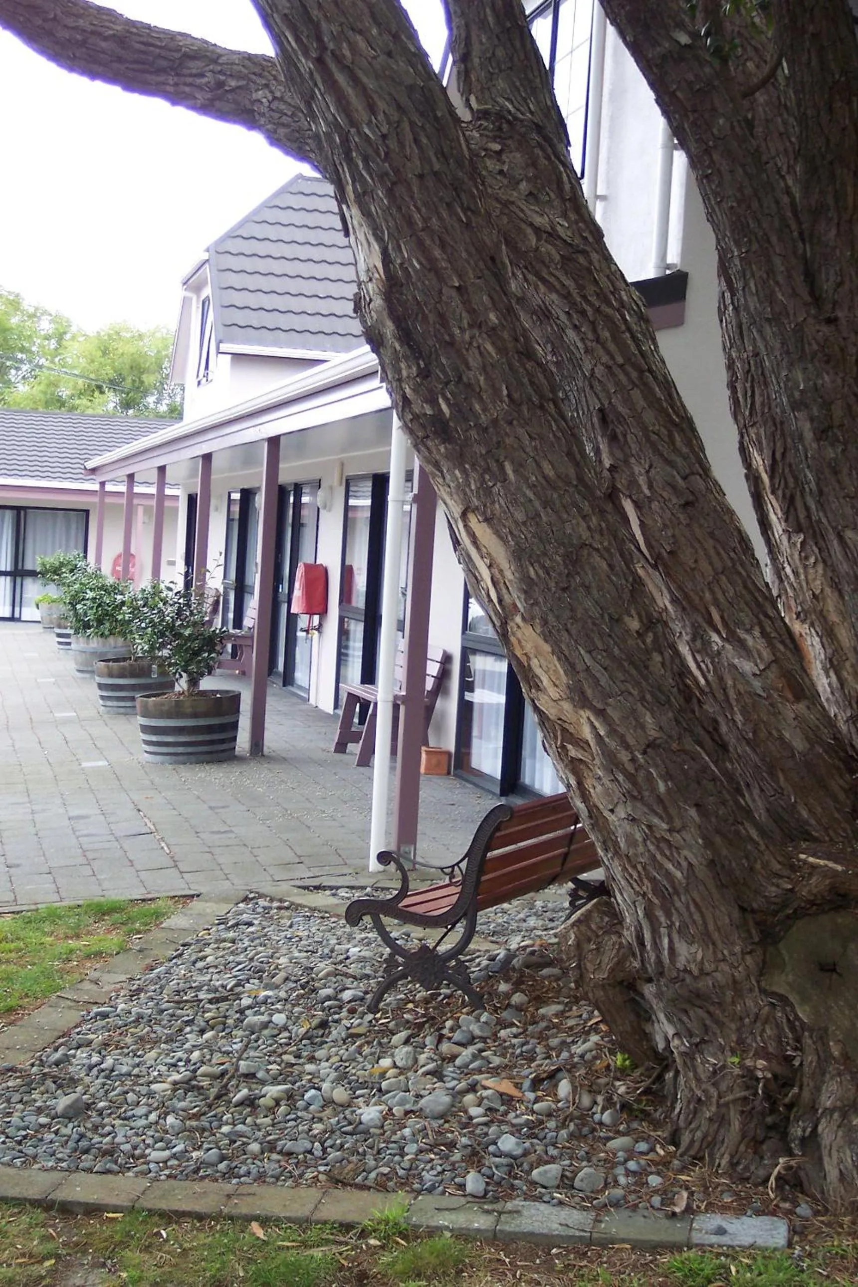 Facade/entrance in Camellia Court Motel