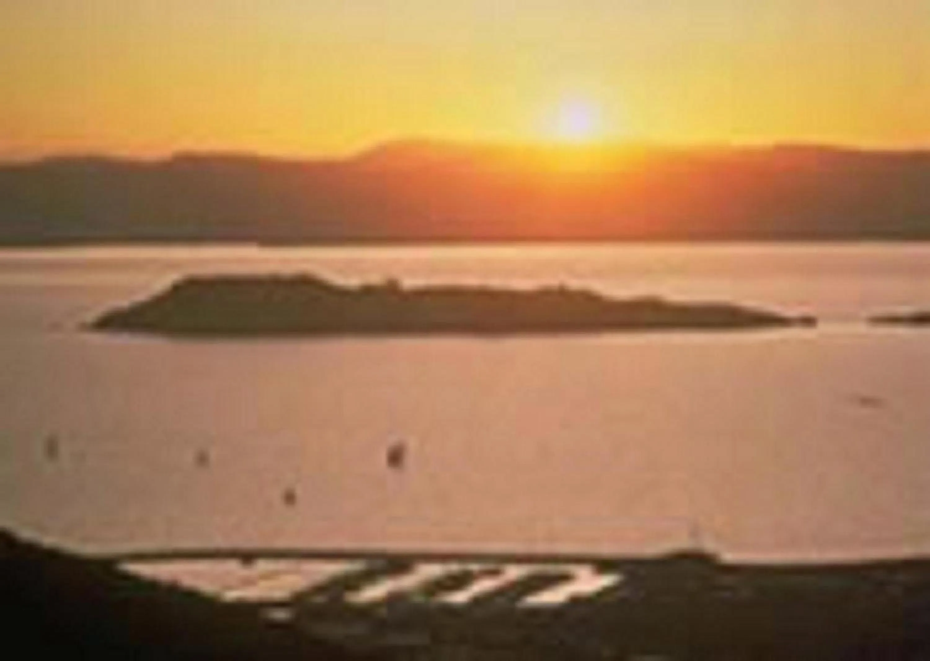 Area and facilities in Camellia Court Motel