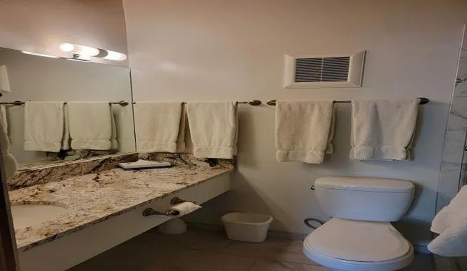 Bathroom in St Moritz Lodge and Condominiums