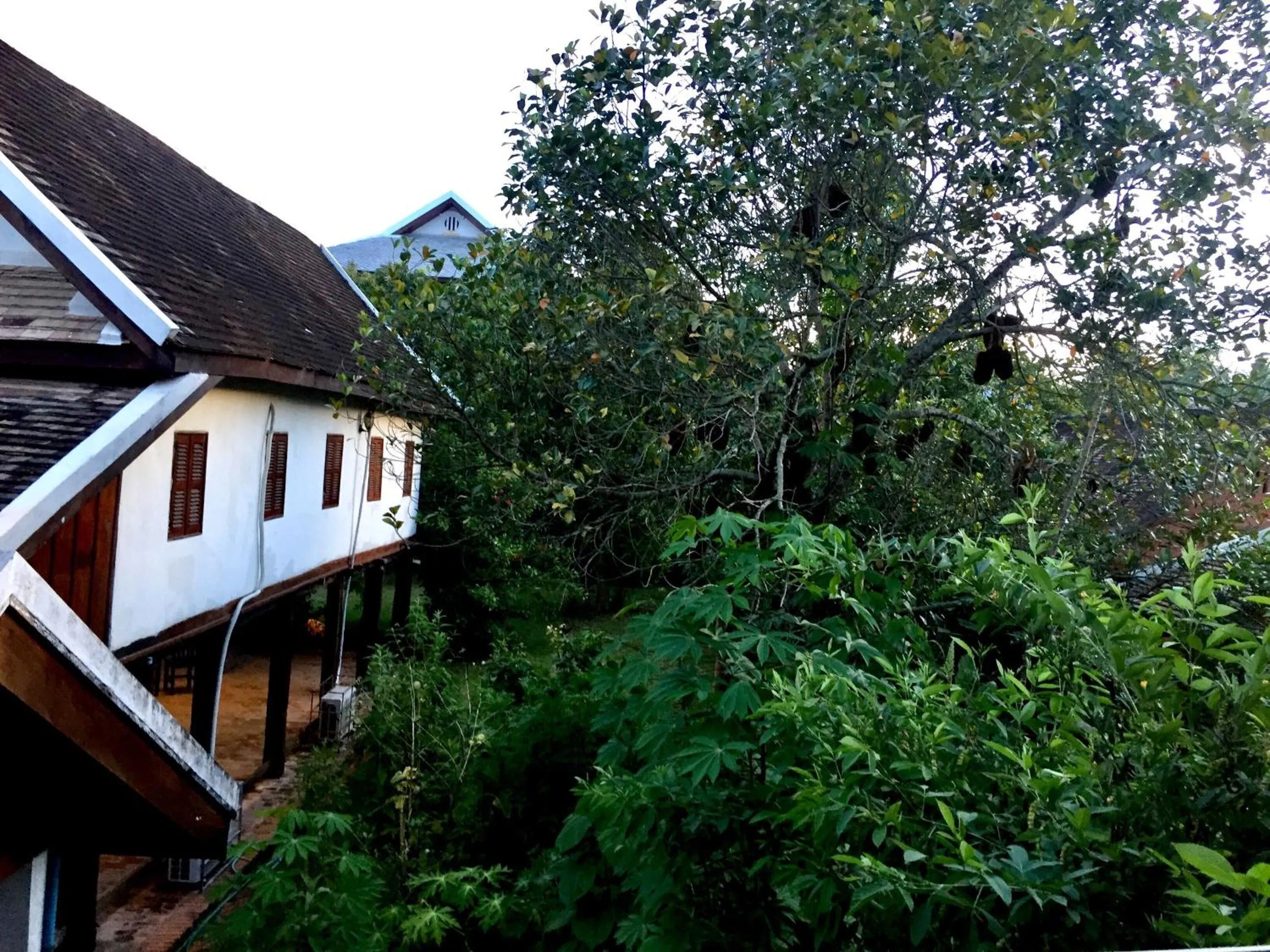 Garden in Soutikone1 Guesthouse