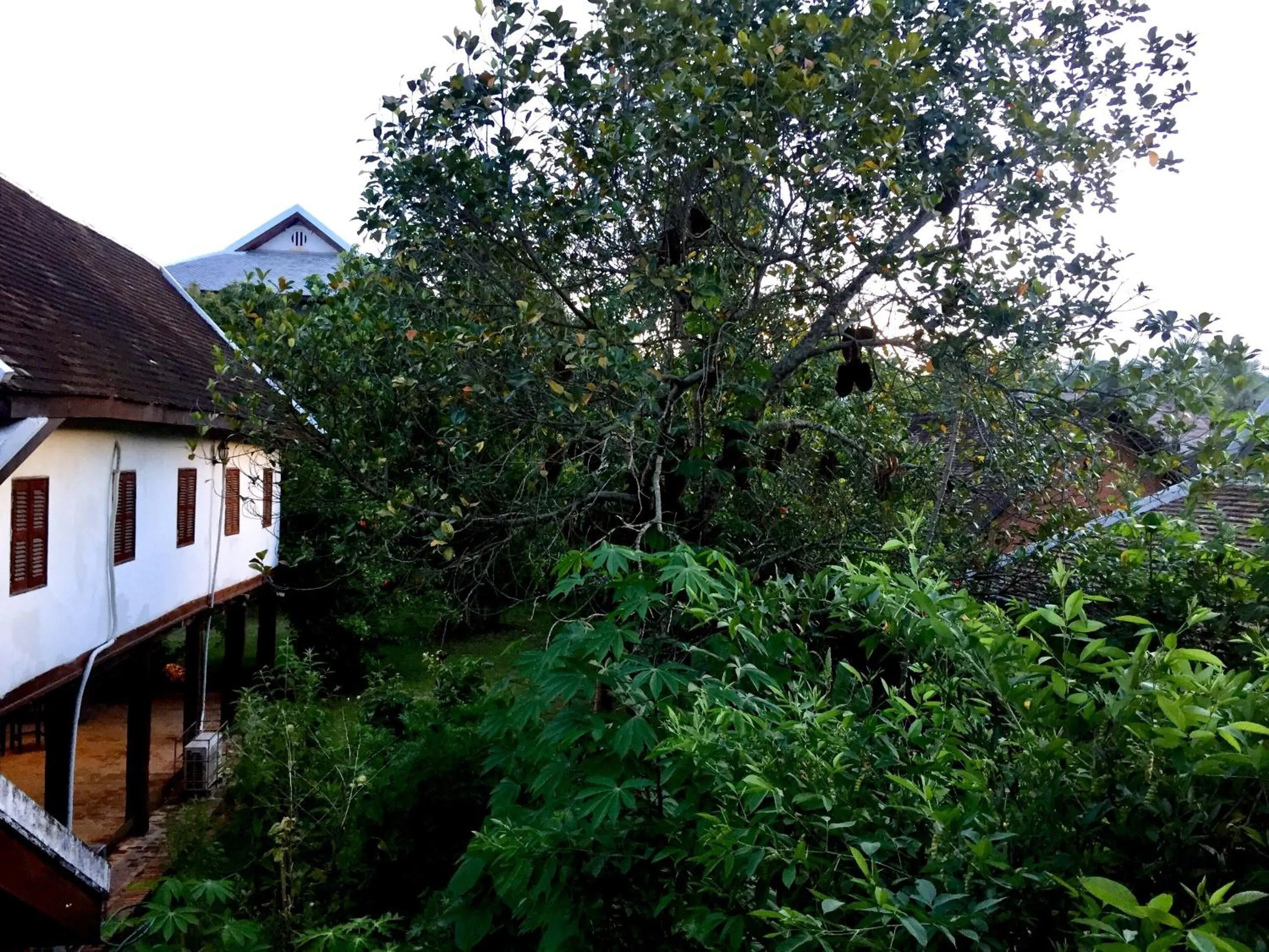 Winter in Soutikone1 Guesthouse