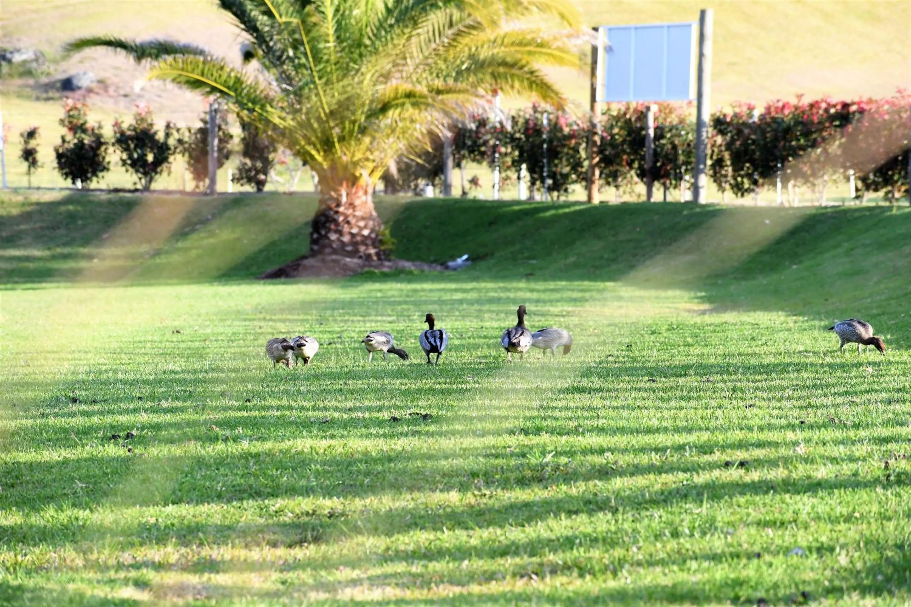 View (from property/room) in Salt @ South West Rocks