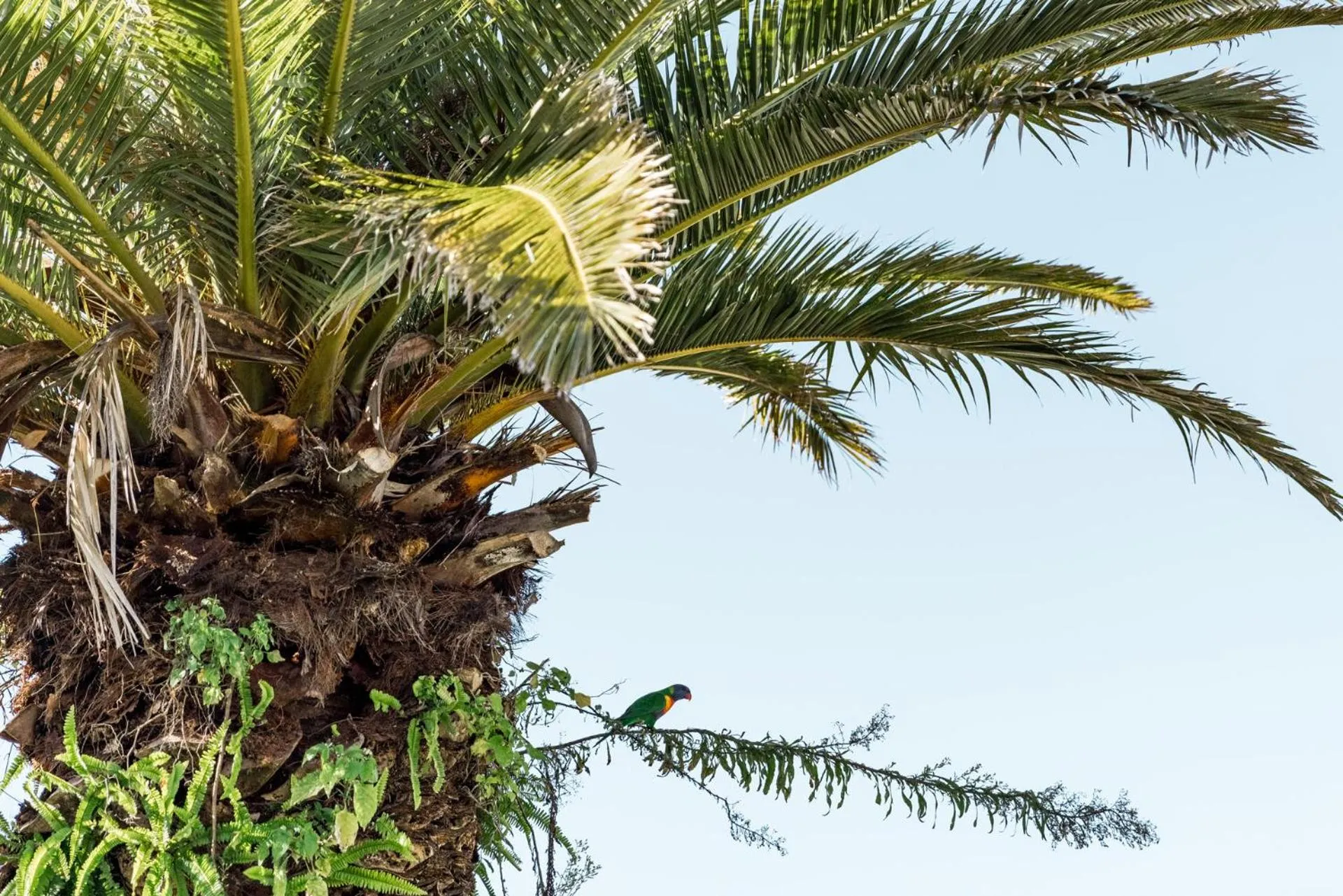 View (from property/room) in Salt @ South West Rocks