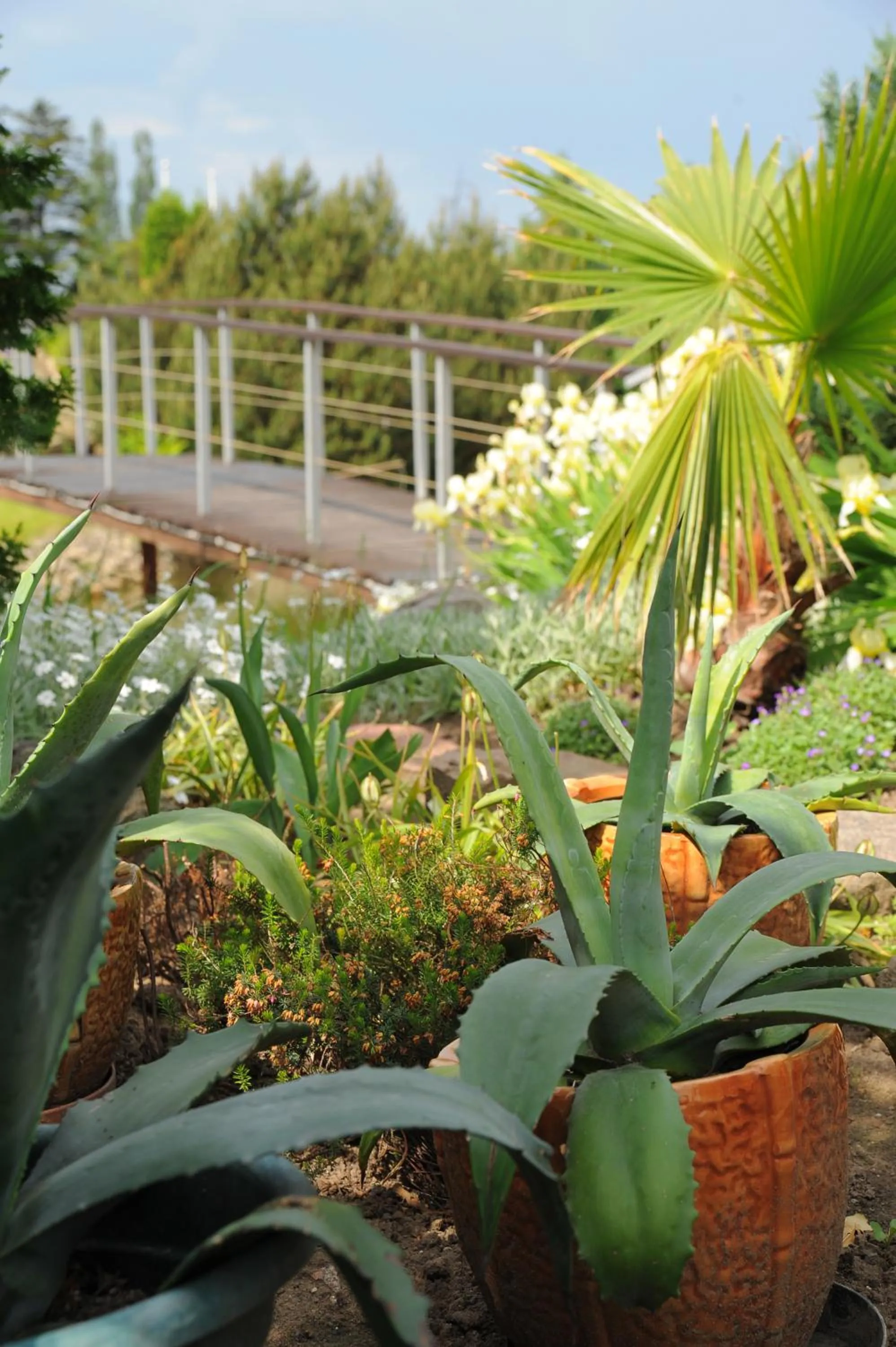 Area and facilities in Motelis Smagratis Kretinga