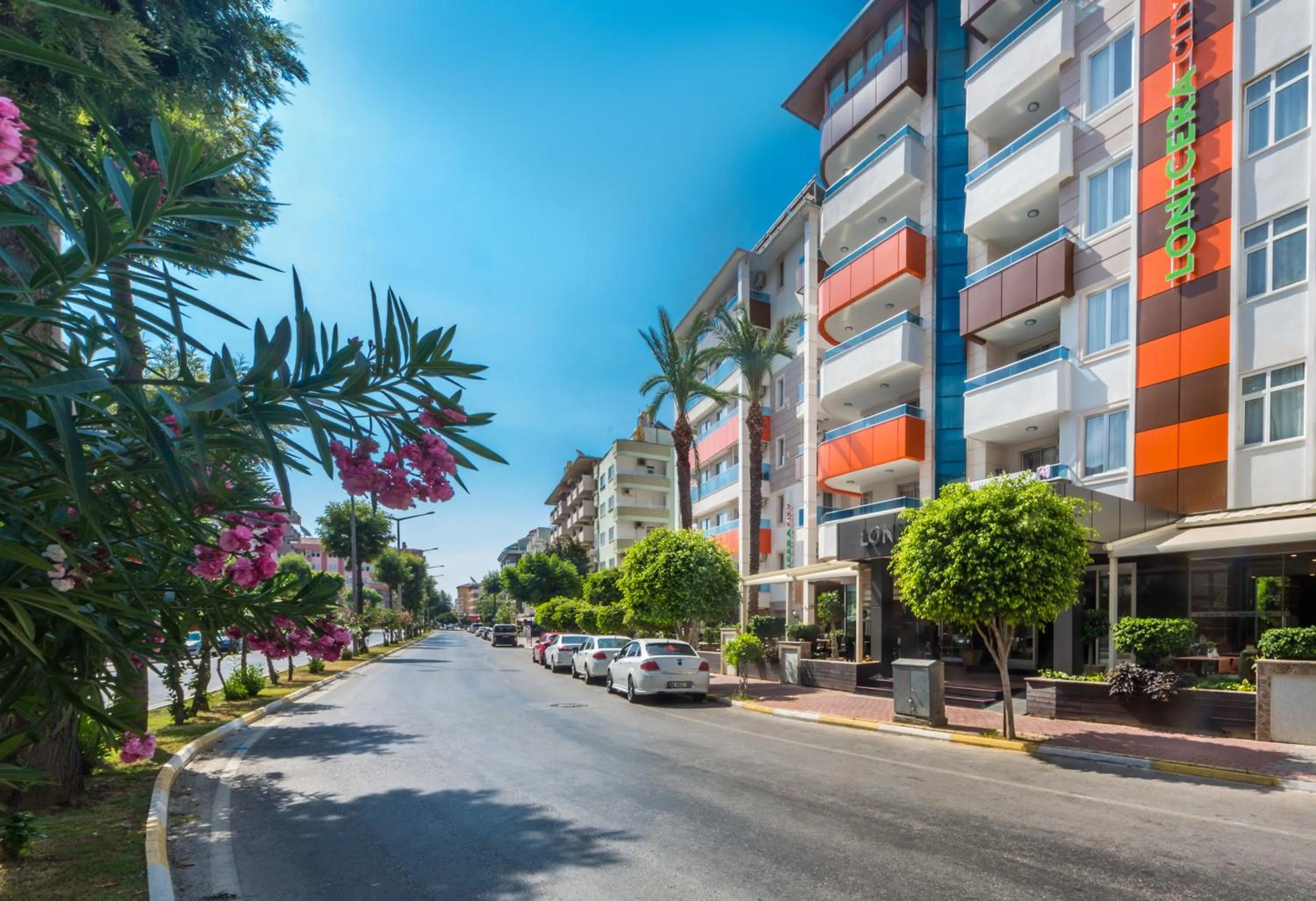 Facade/entrance in Lonicera City Hotel