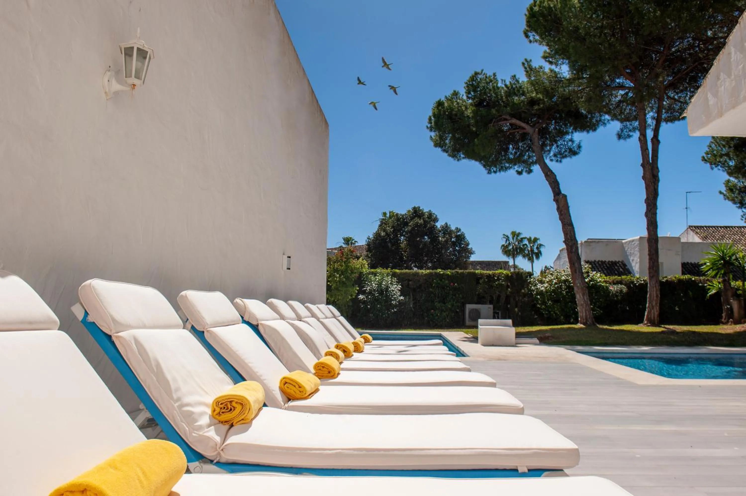 Swimming pool in Villa Marina