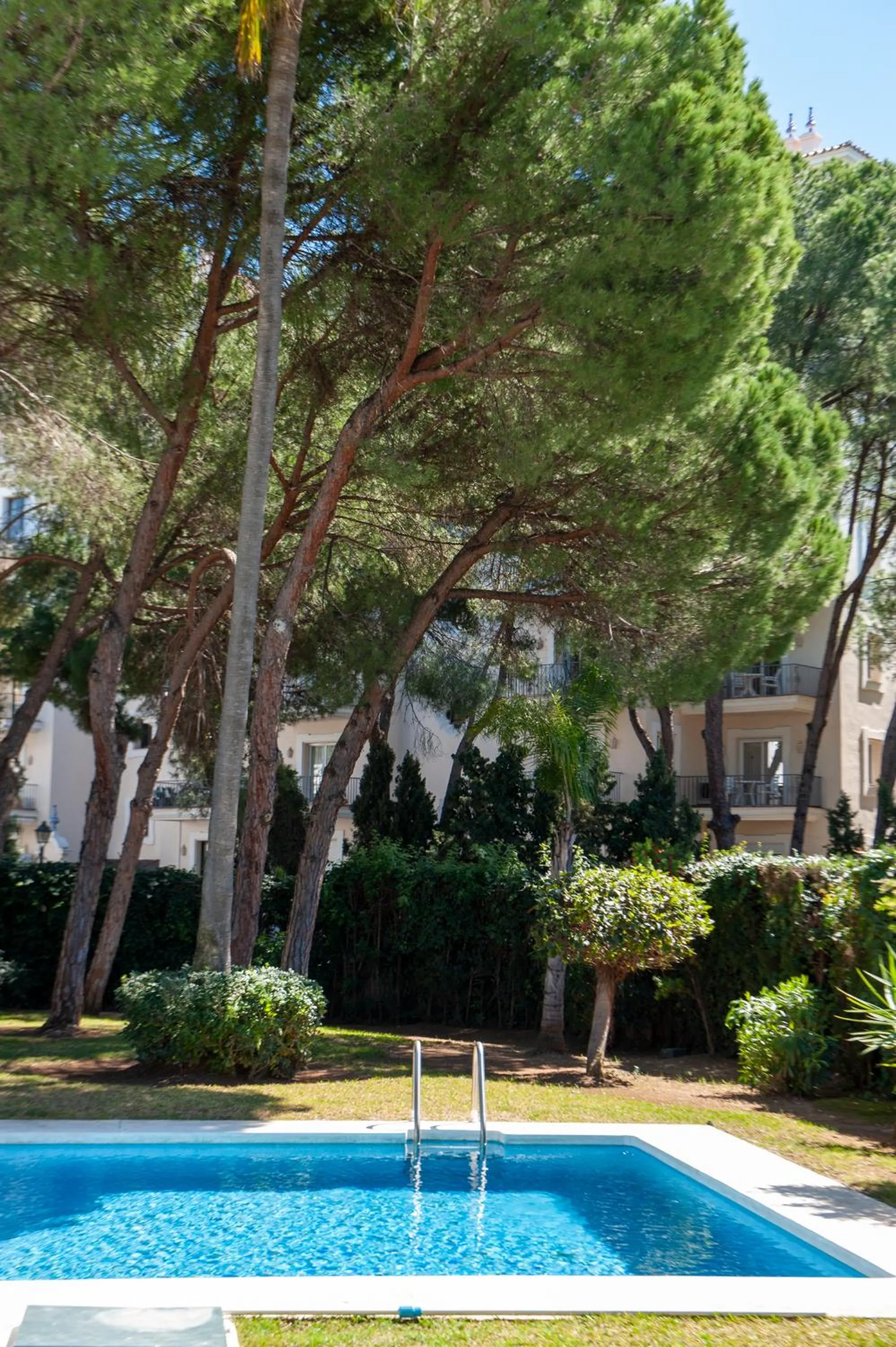 Natural landscape in Villa Marina