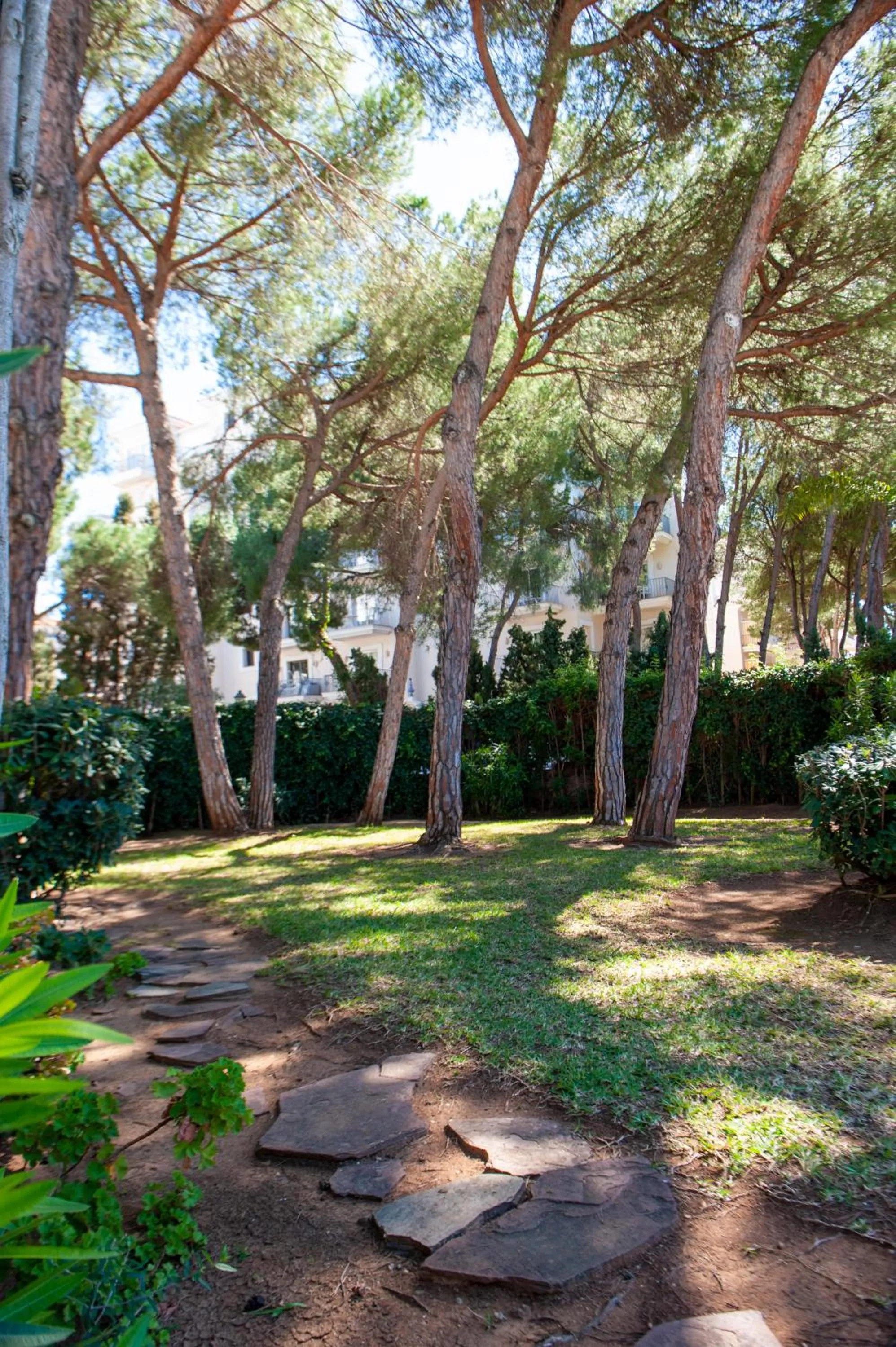 Natural landscape in Villa Marina
