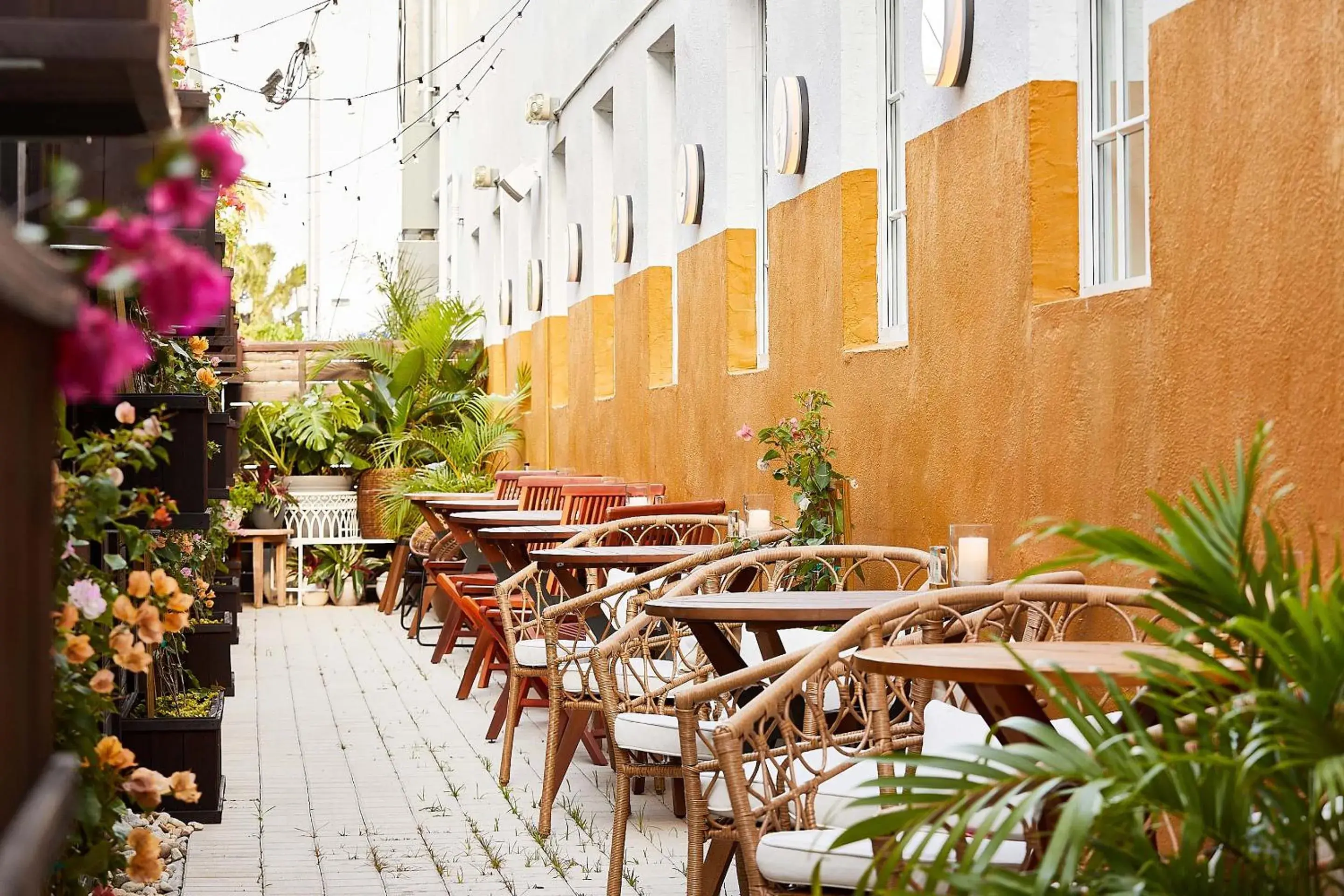 Restaurant/places to eat in Life House, South of Fifth Restaurant/places to eat in Life House, South of Fifth