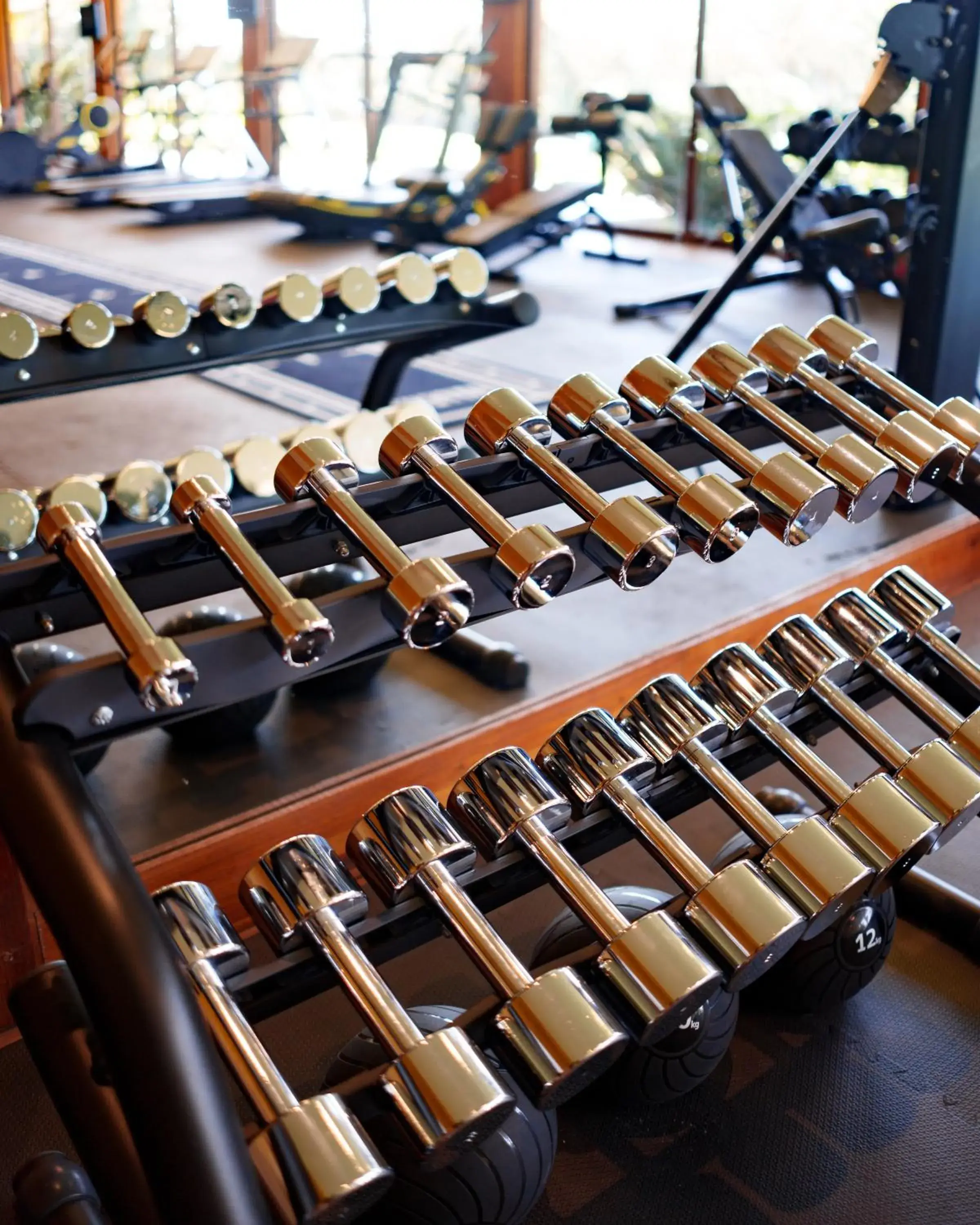 Restaurant/places to eat in Zendaya Resort Beach Sport & Spa Restaurant/places to eat in Zendaya Resort Beach Sport & Spa