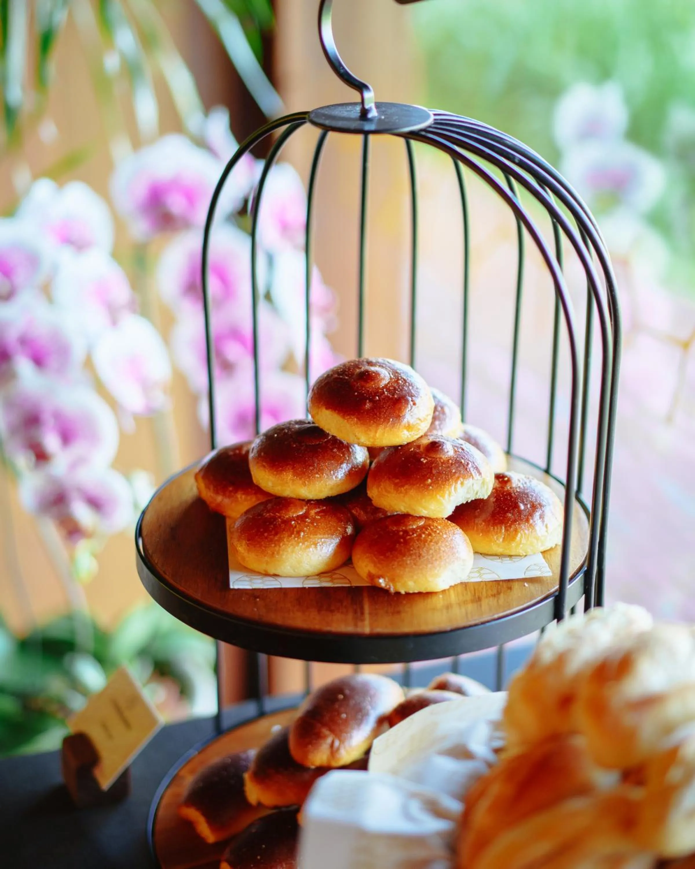 Zendaya Resort Beach Sport & Spa