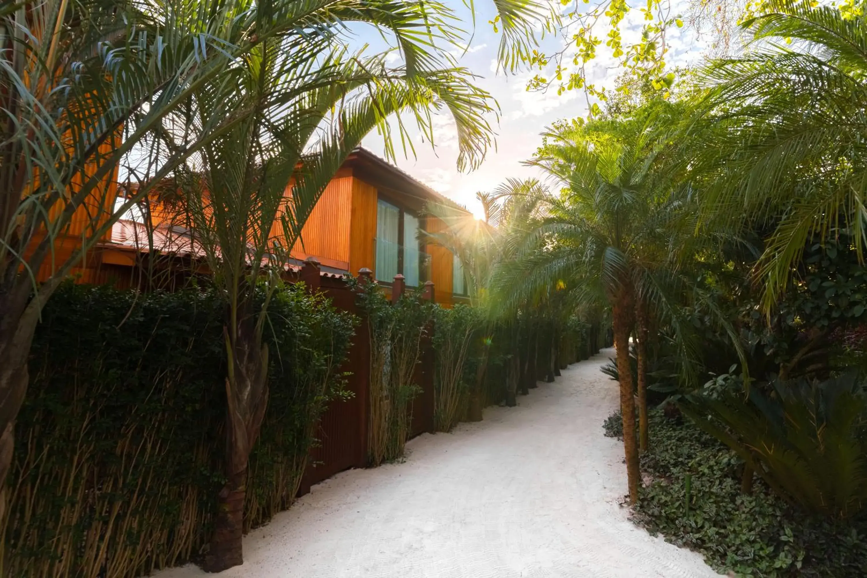 Garden view in Zendaya Resort Beach Sport & Spa Garden view in Zendaya Resort Beach Sport & Spa