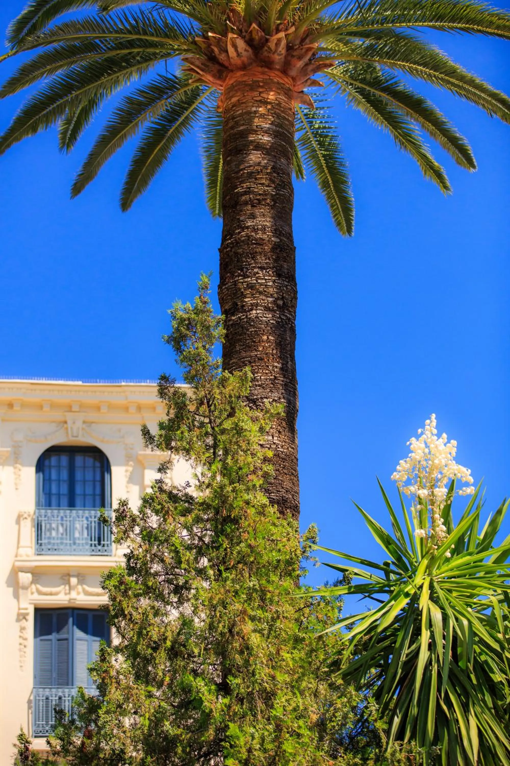 Property building in Hotel El Paradiso