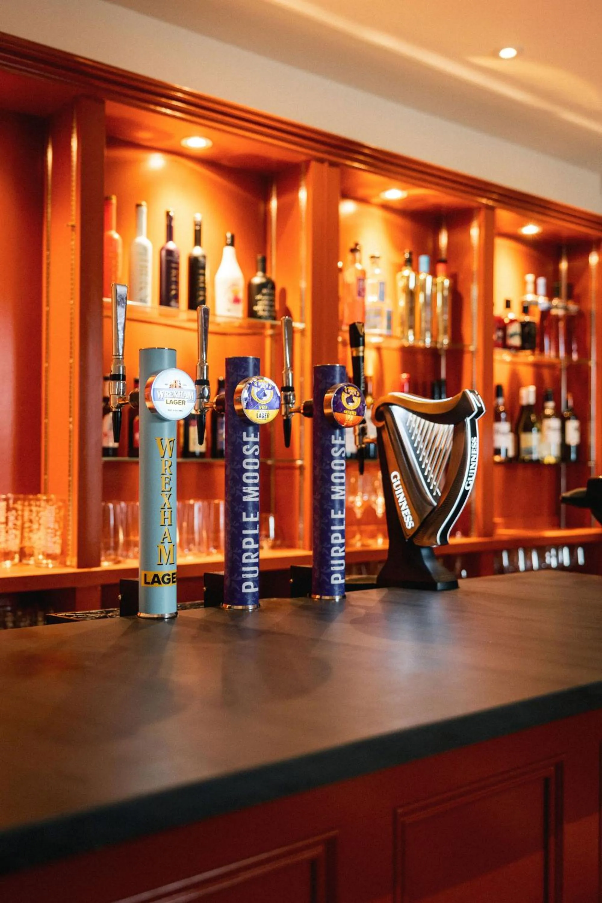 Lounge or bar in Plas Weunydd