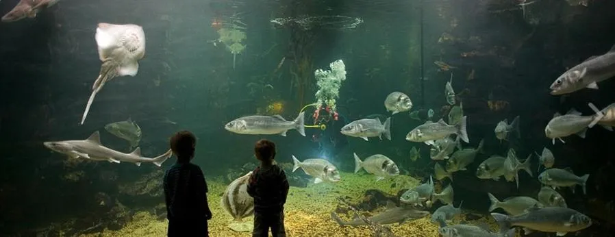 Activities in Trecastell Hotel