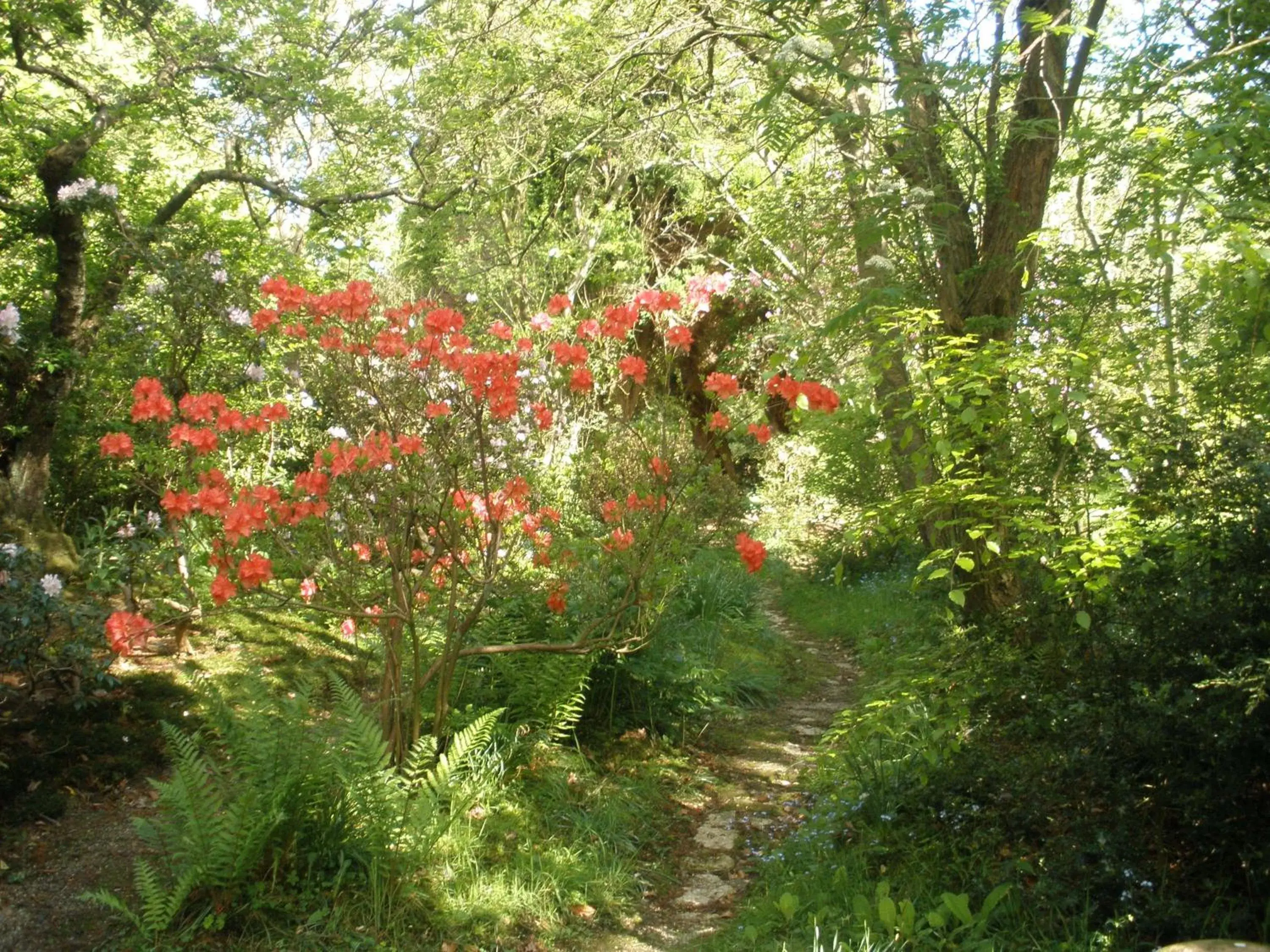 Lastingham Grange Lastingham Grange