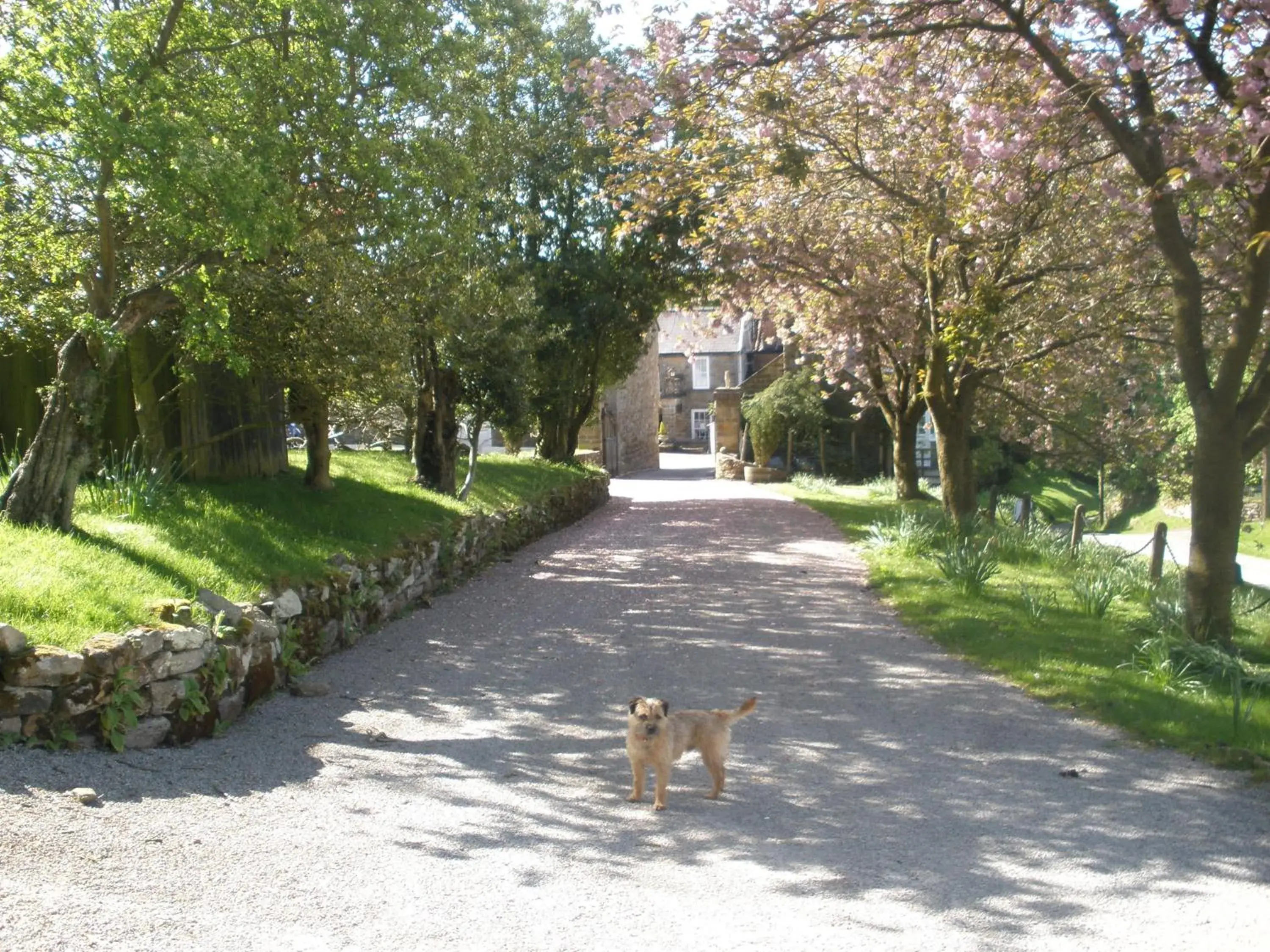 Lastingham Grange Lastingham Grange