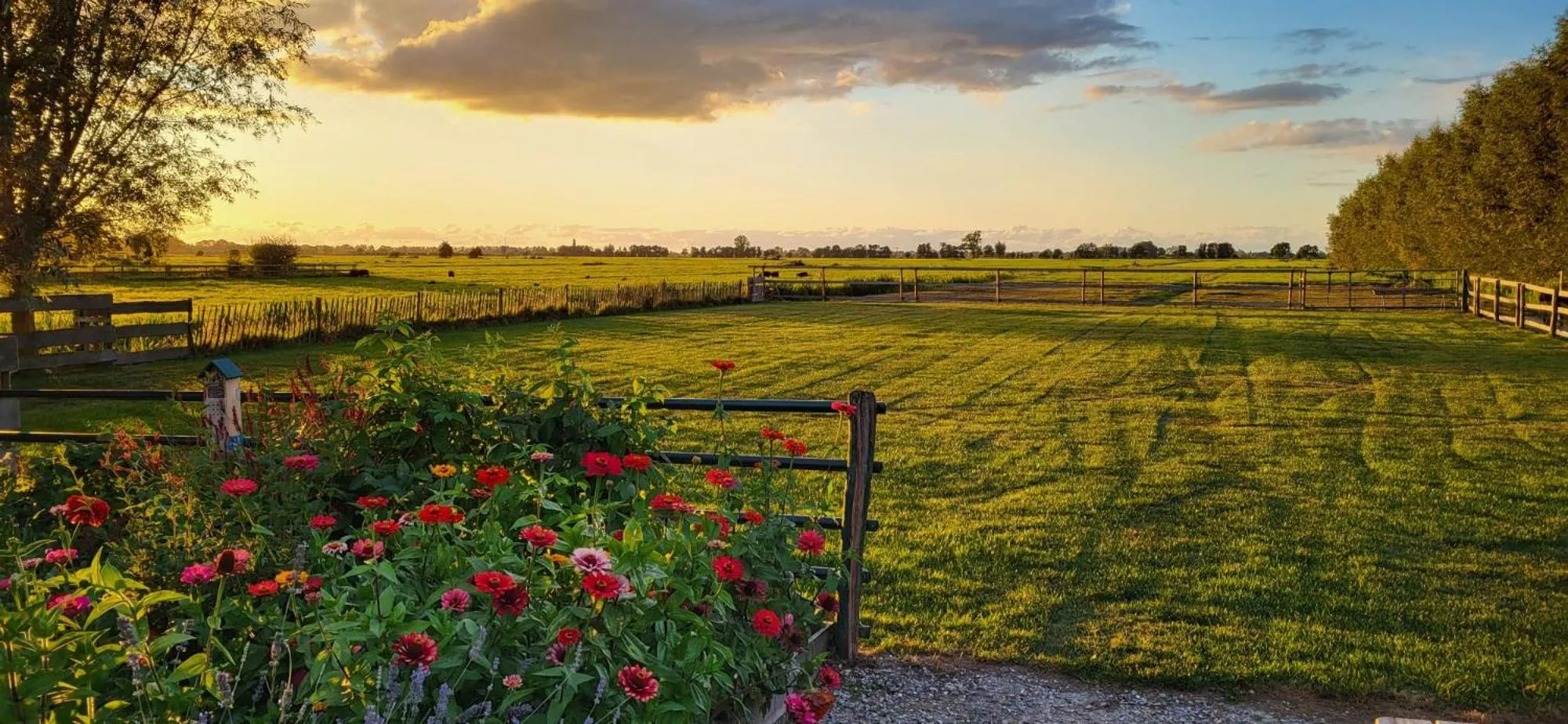 Area and facilities in Het Groene Wout