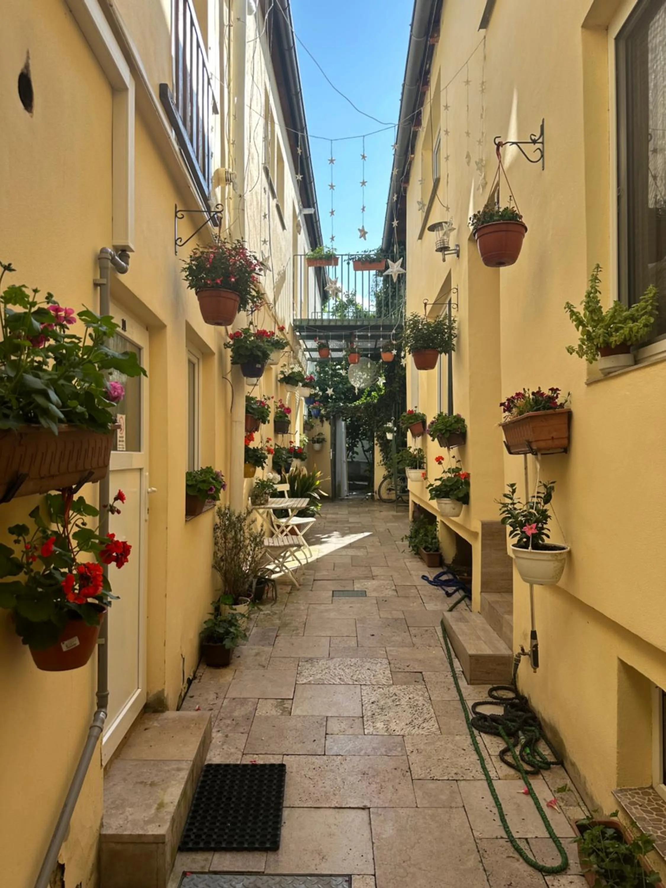 Garden in Penzion 4 Dvory