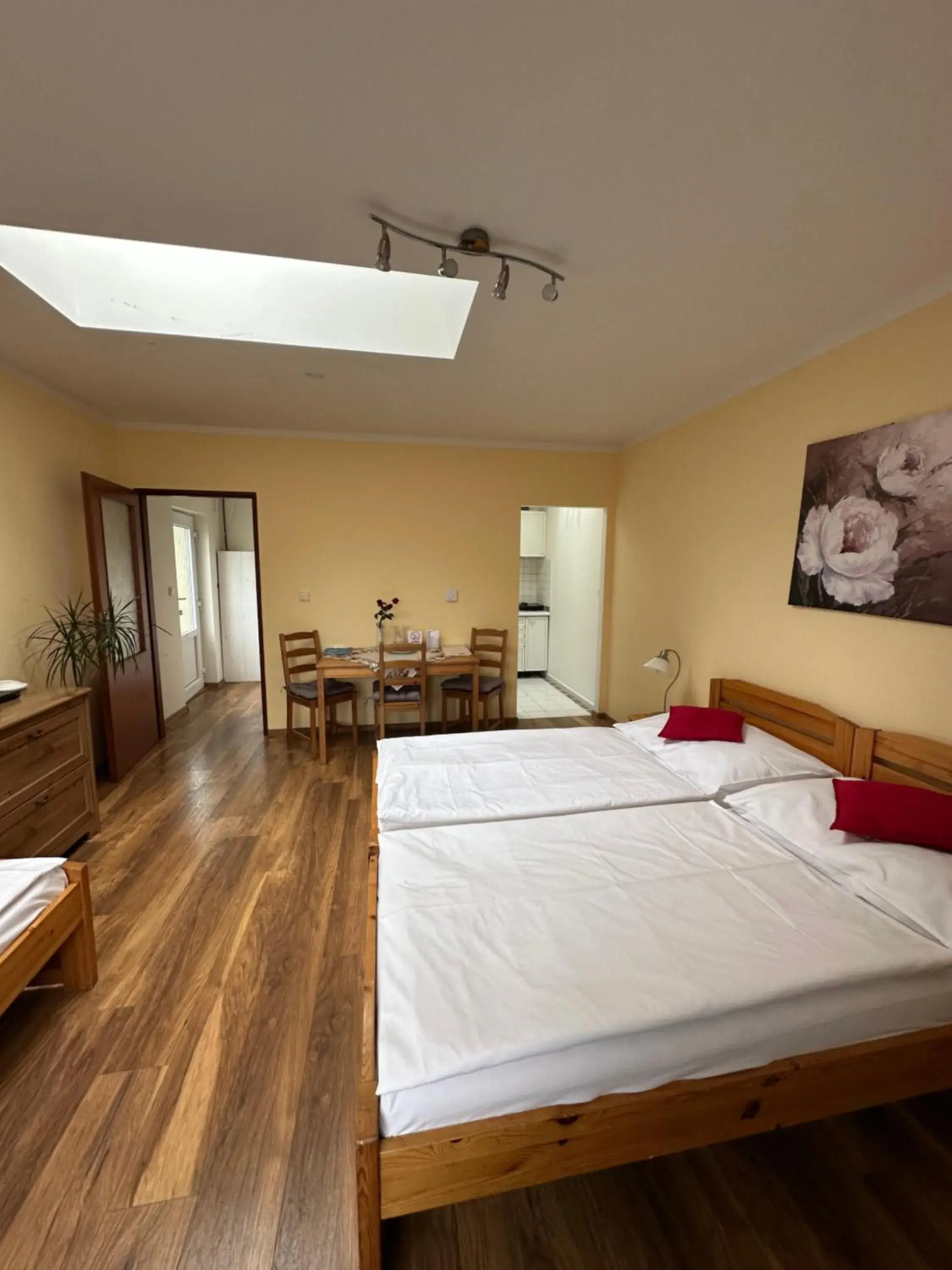 Superior One-Bedroom Apartment - single occupancy in Penzion 4 Dvory Superior One-Bedroom Apartment - single occupancy in Penzion 4 Dvory