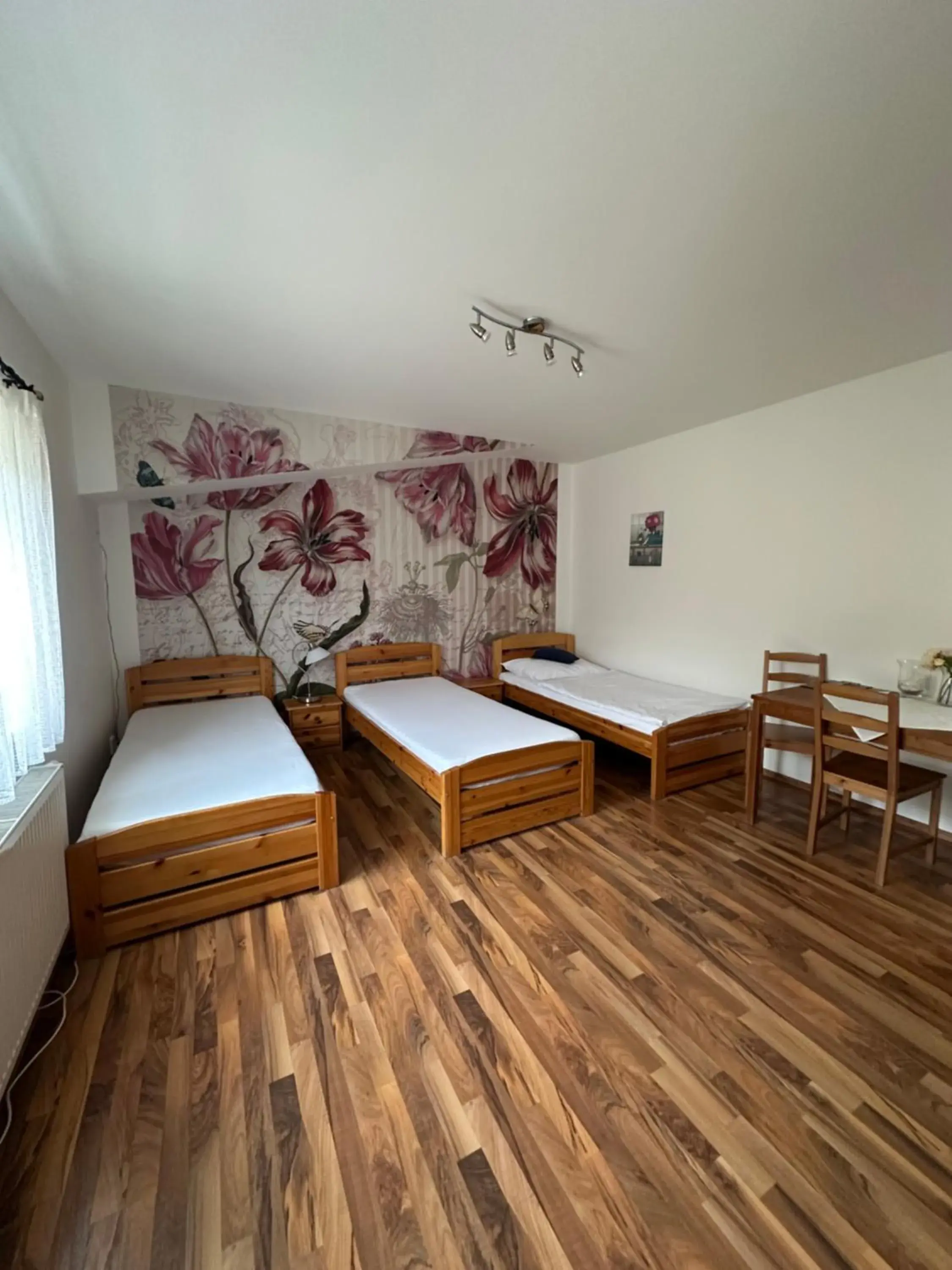 Apartment (3 Adults) - single occupancy in Penzion 4 Dvory Apartment (3 Adults) - single occupancy in Penzion 4 Dvory
