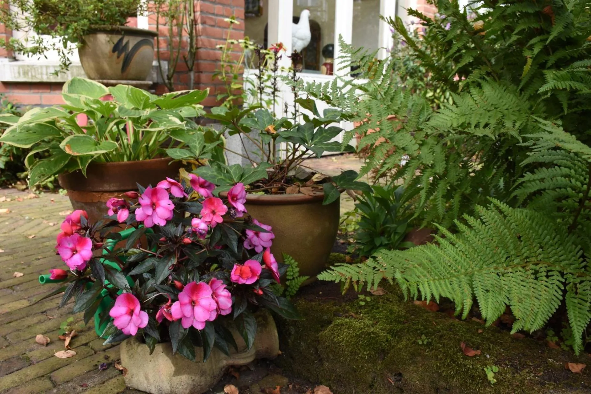 Garden in Bed & Breakfast Leonie