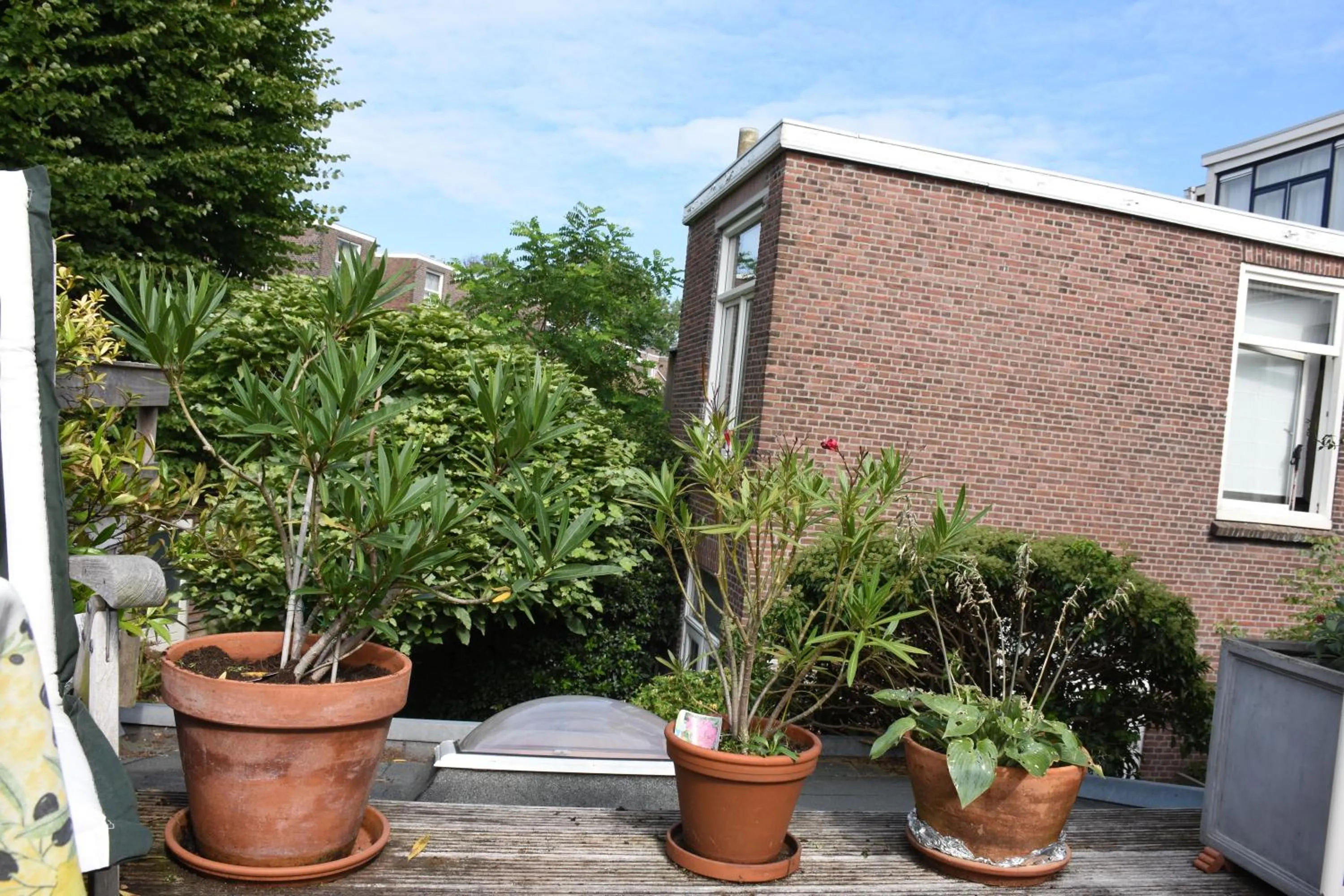 Garden in Bed & Breakfast Leonie