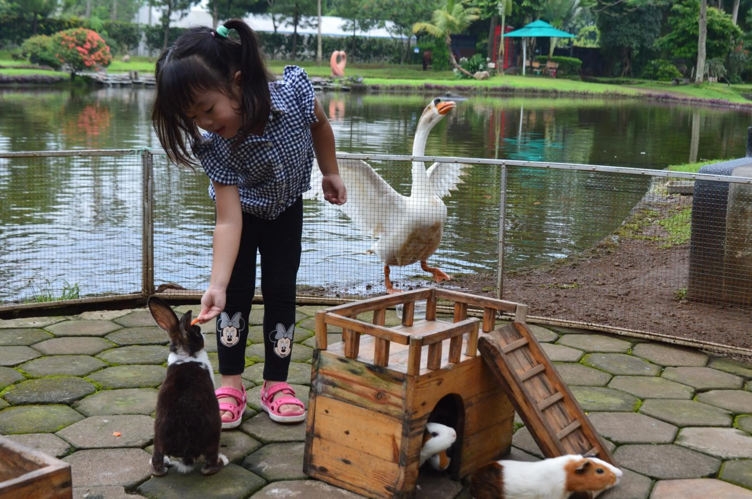 Activities in K Gallery Hotel