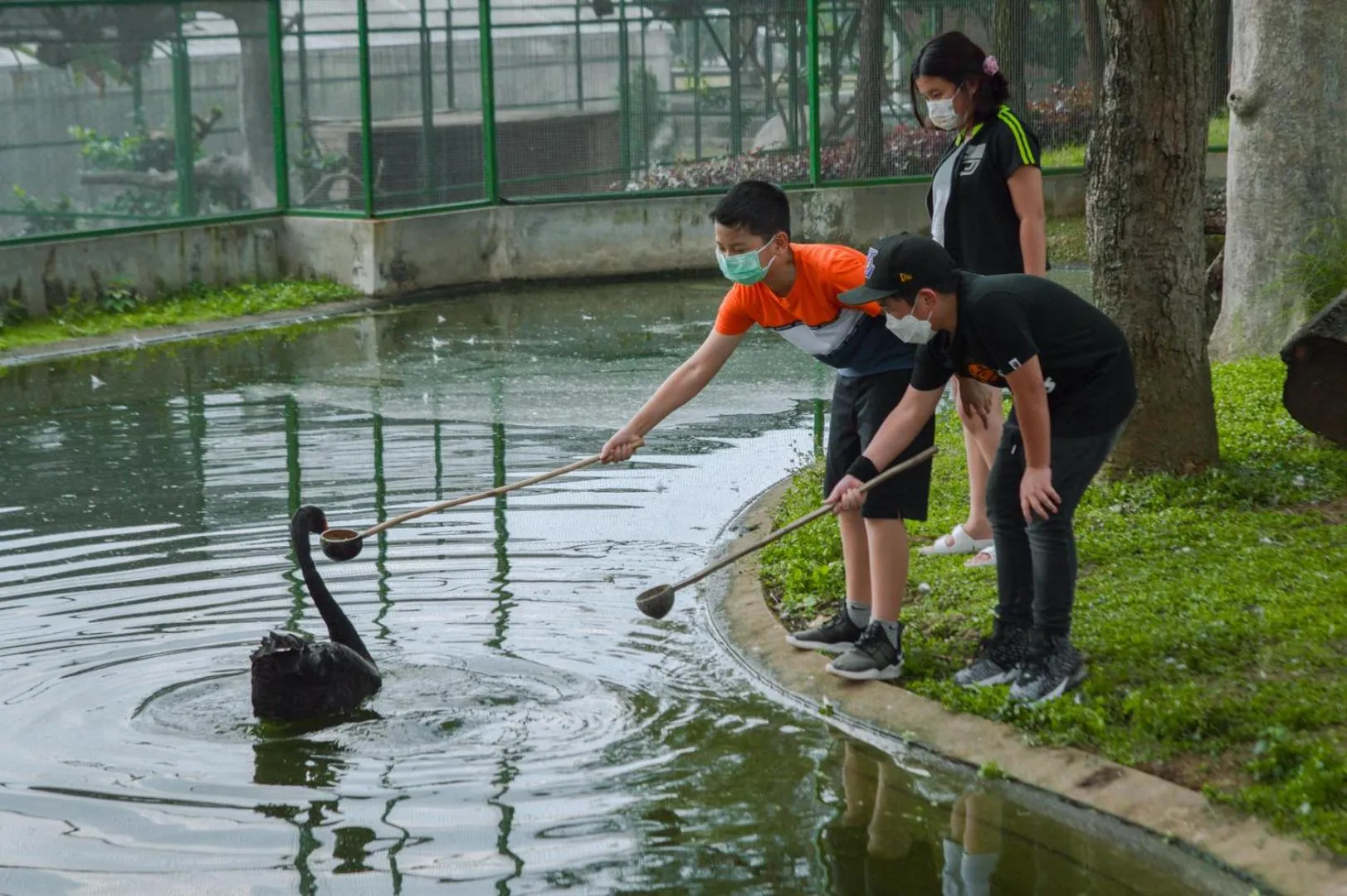 Activities in K Gallery Hotel