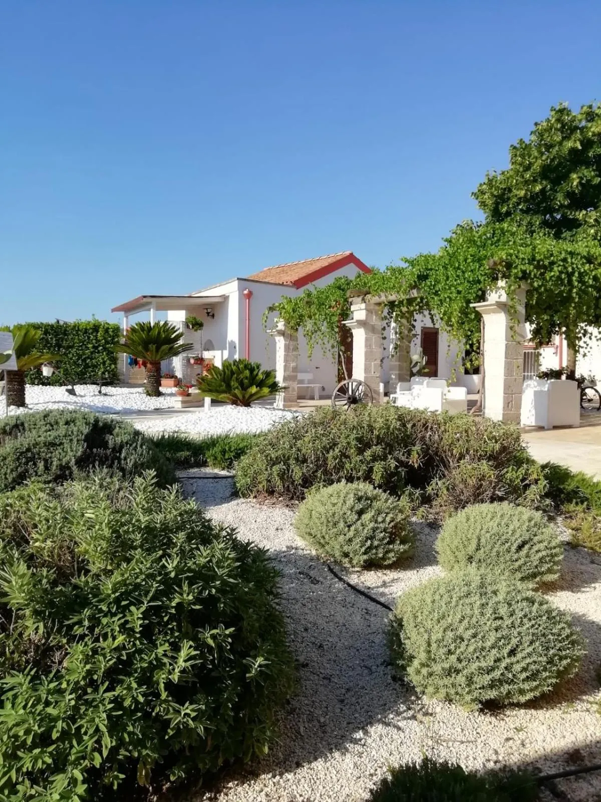 Il Giardino Del Tiglio