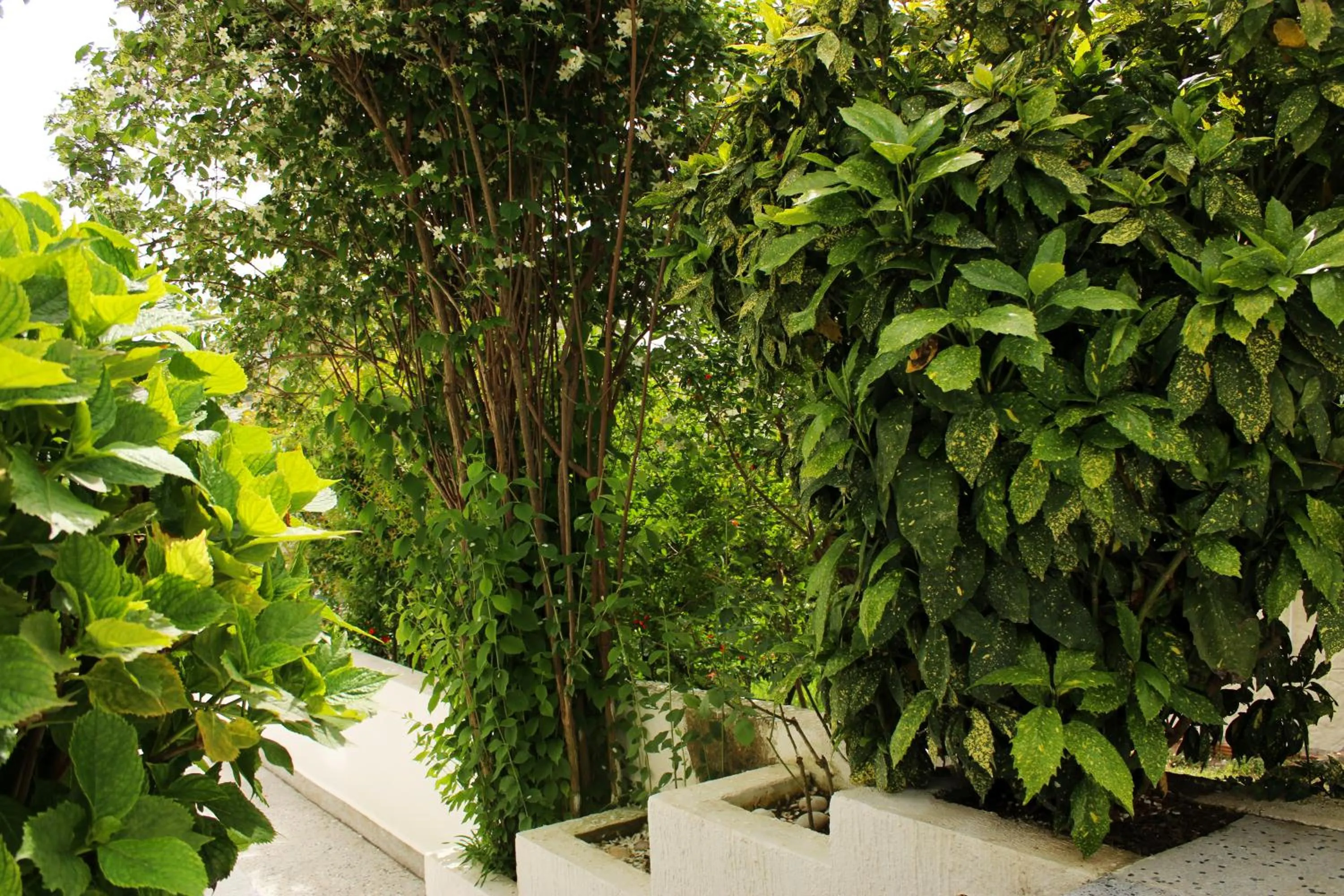 Patio in Villa Mila