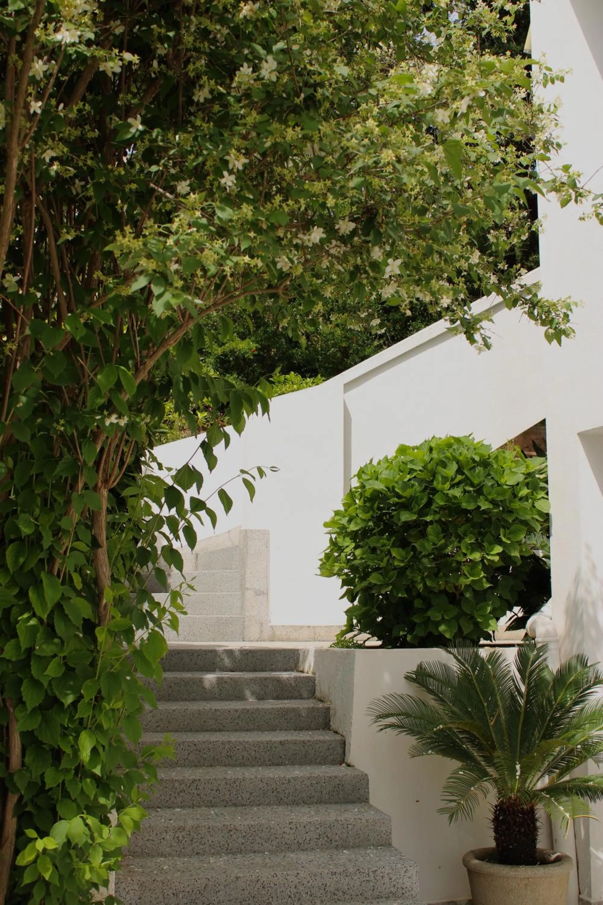 Natural landscape in Villa Mila