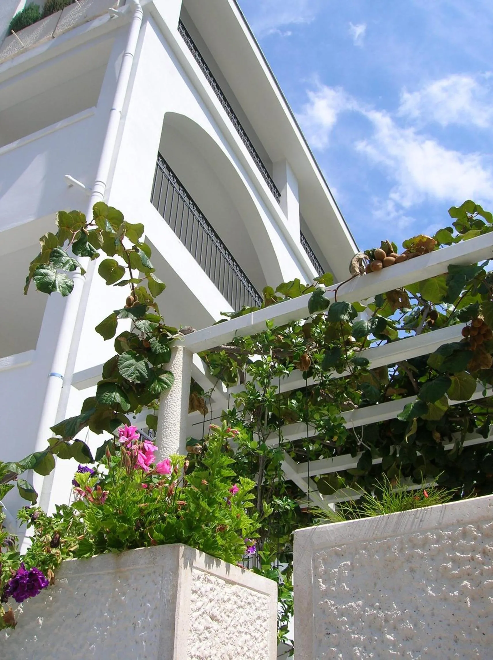 Property building in Villa Mila