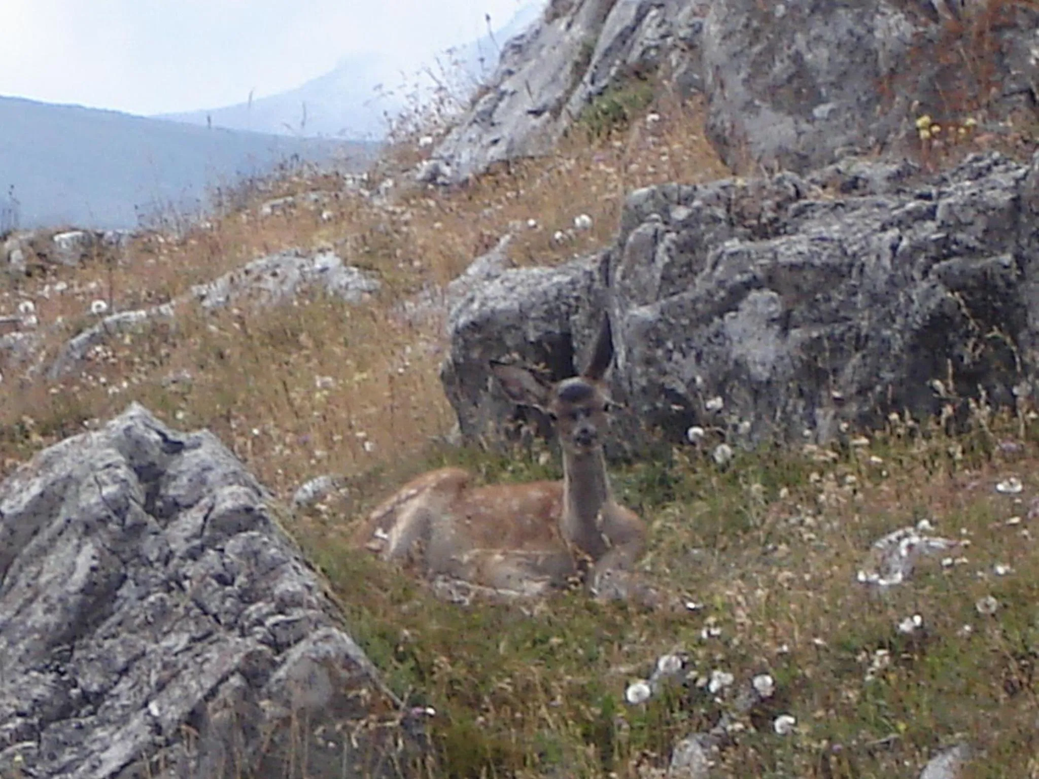 Nearby landmark in vaquero casa rural alquiler completo