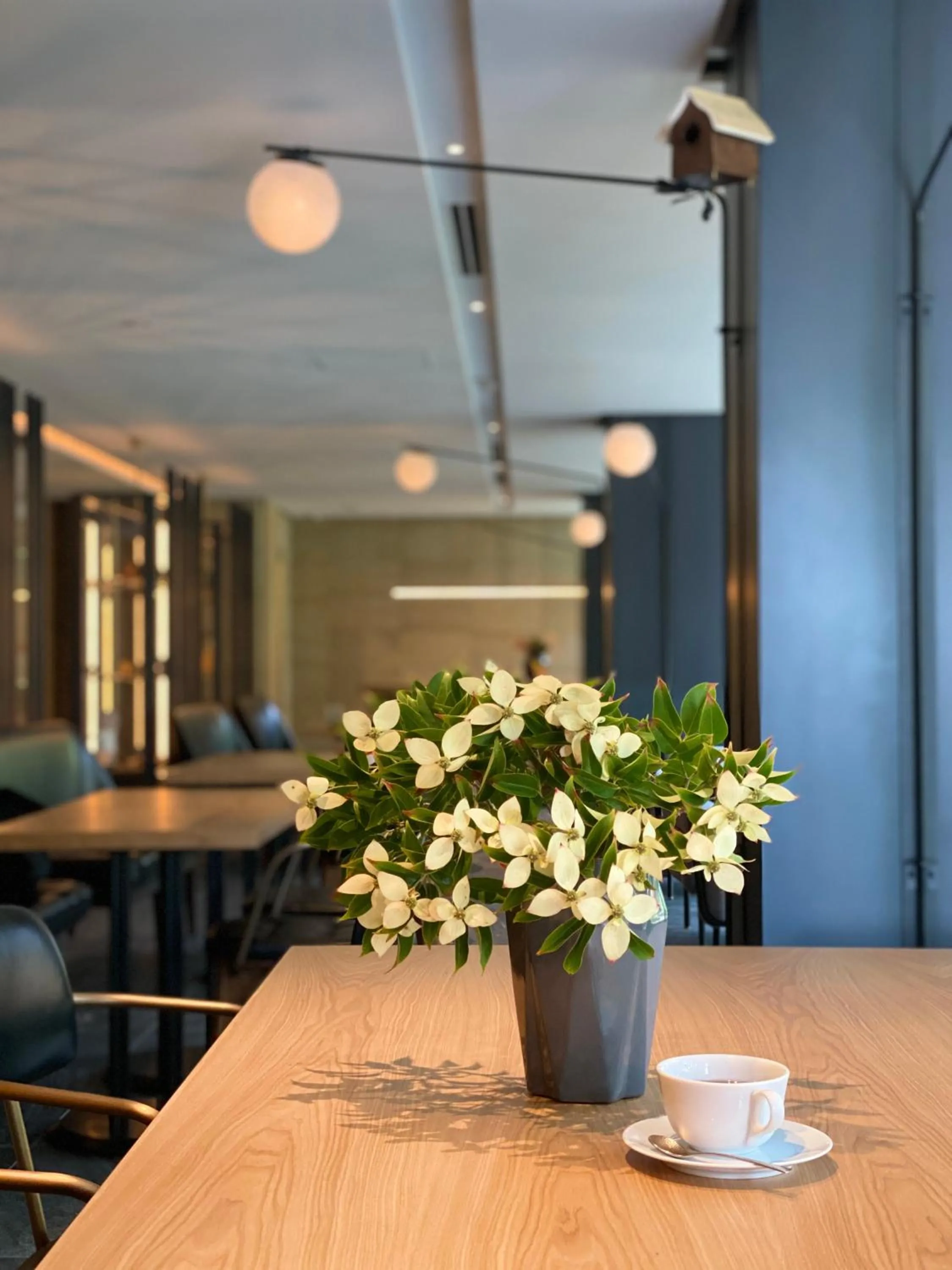 Lounge or bar in Tassel Hotel Sanjo Shirakawa