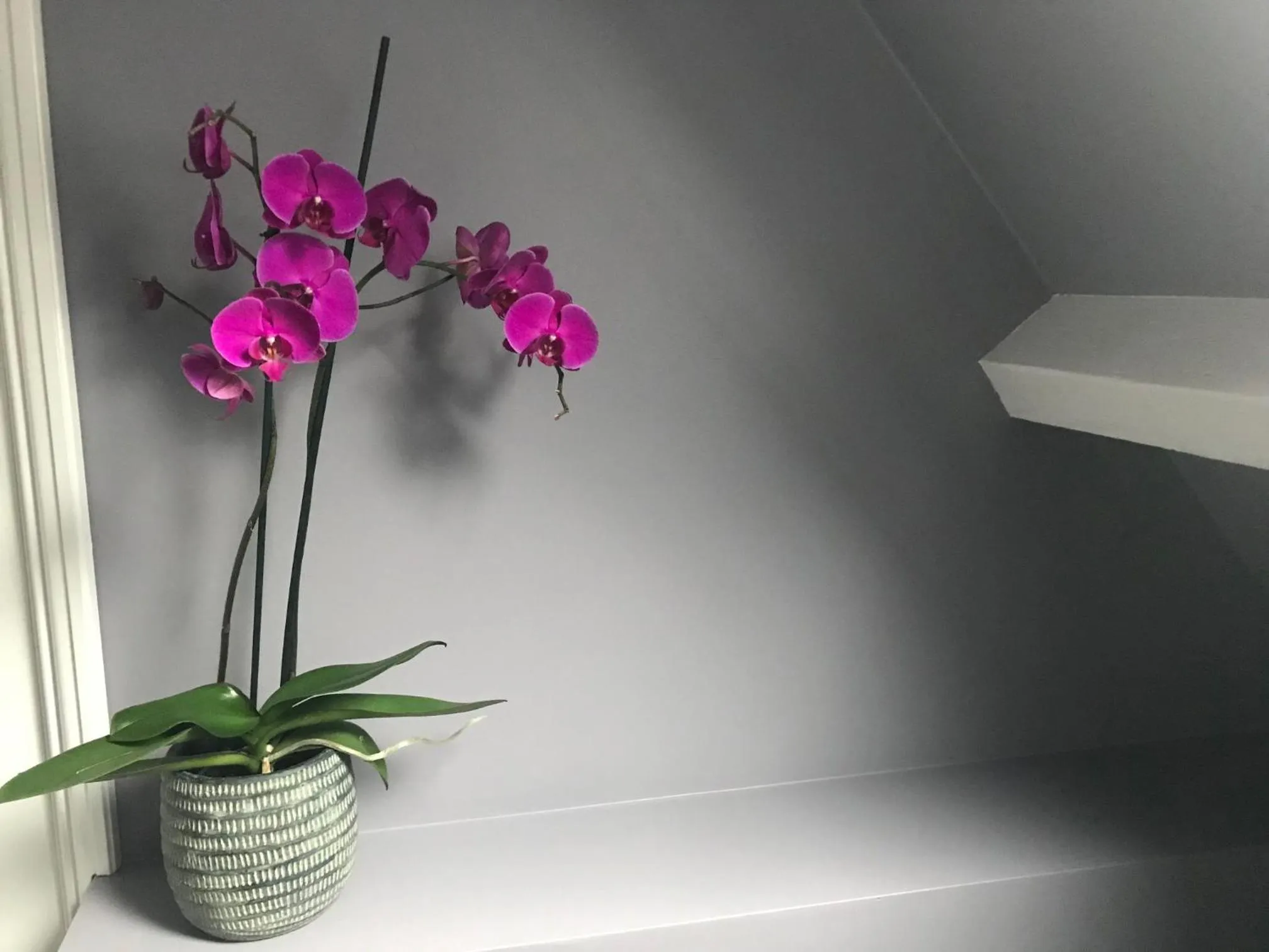 Decorative detail in Bed and Breakfast The Rose